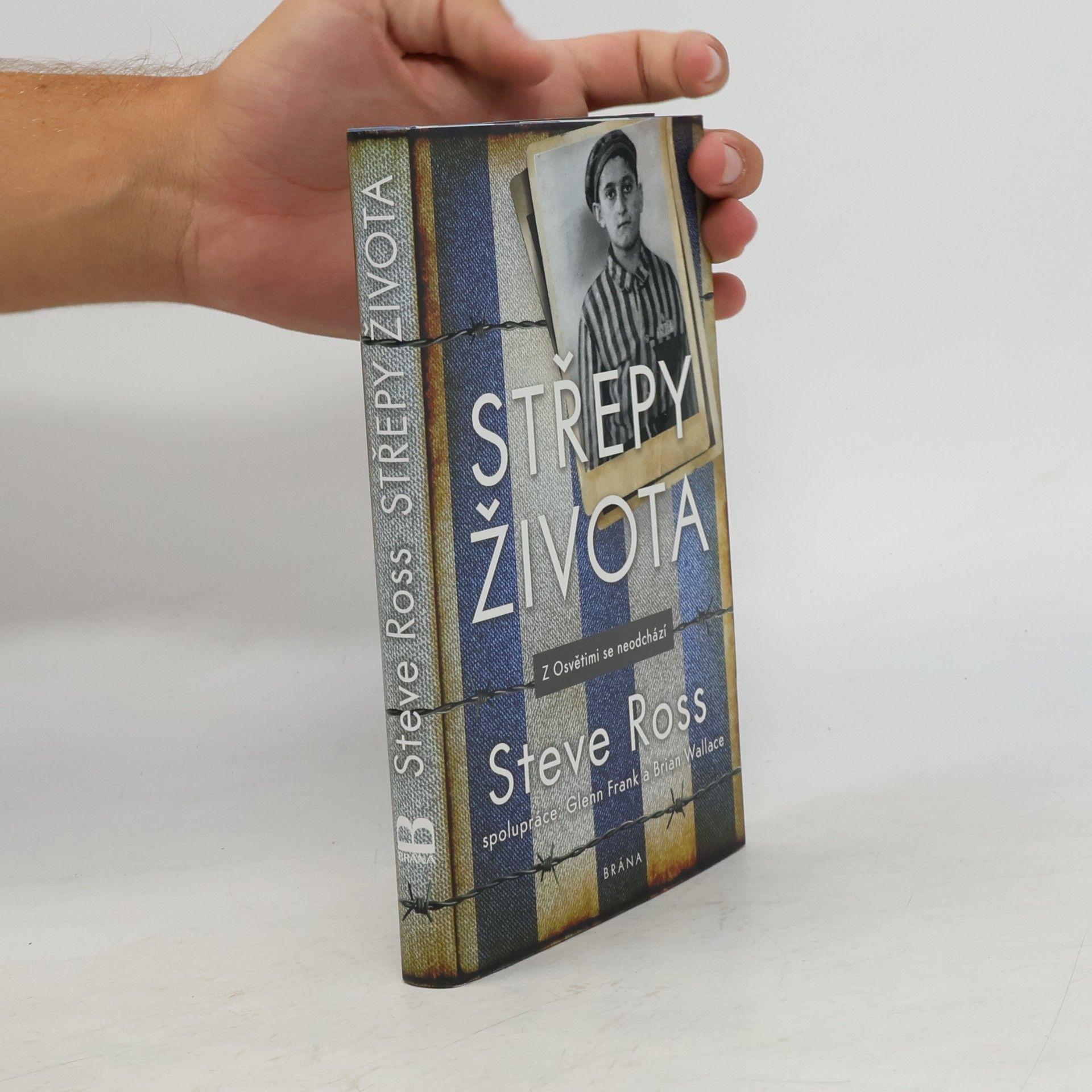Brian Wallace Střepy života