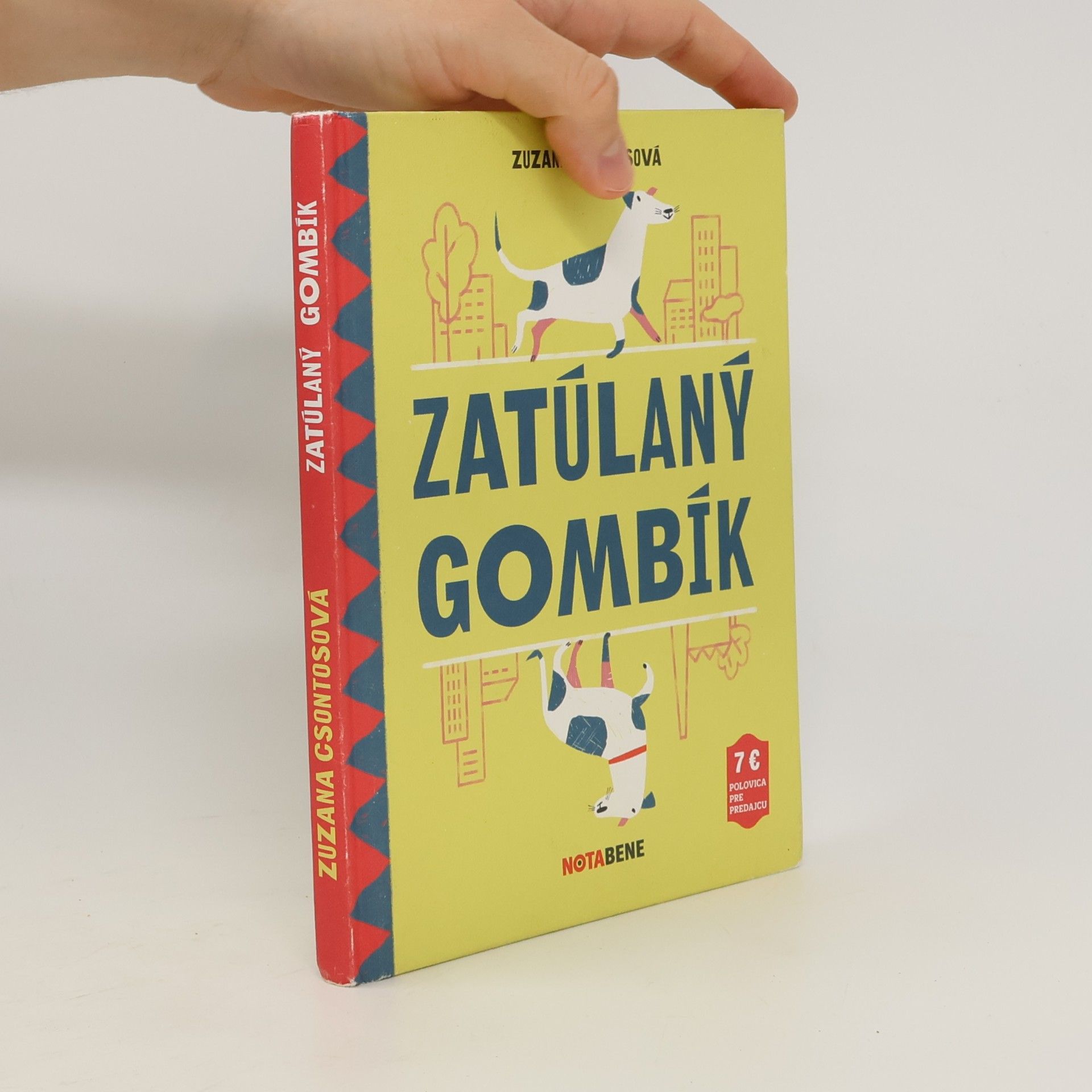 Zuzana Csontosová Zatúlaný gombík