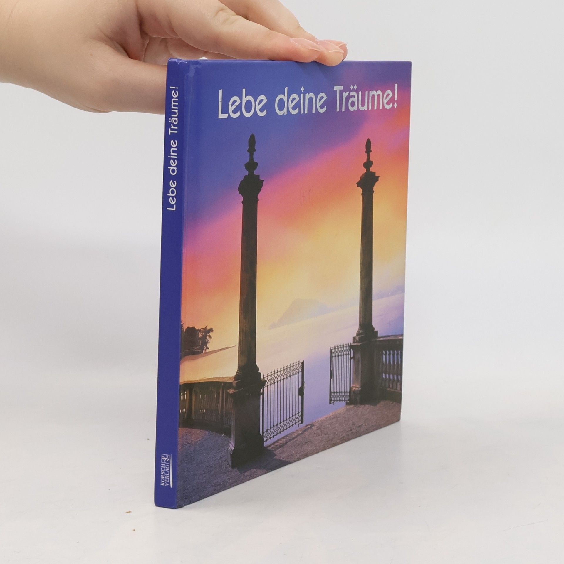 Autorenkollektiv Lebe deine Träume!