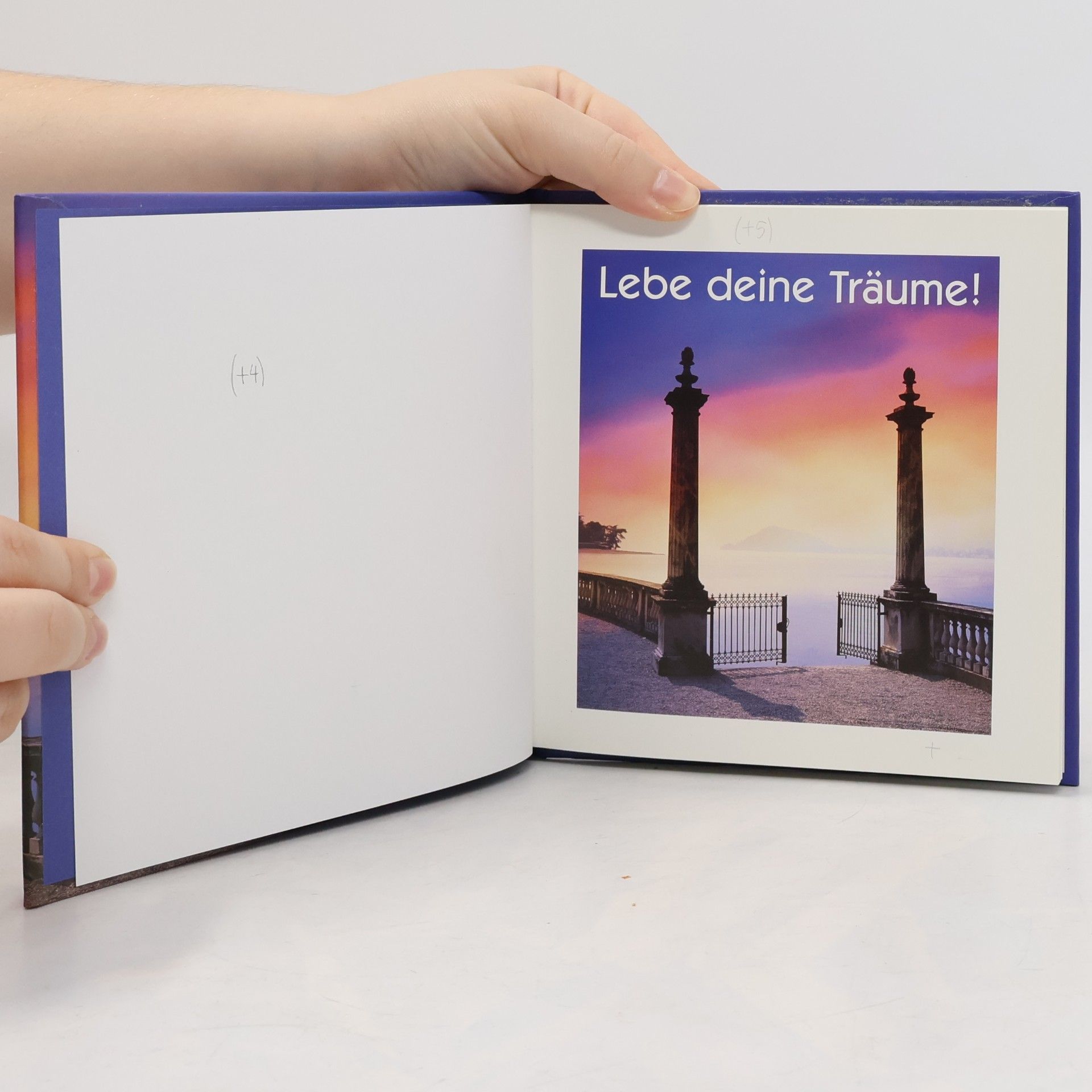 Autorenkollektiv Lebe deine Träume!