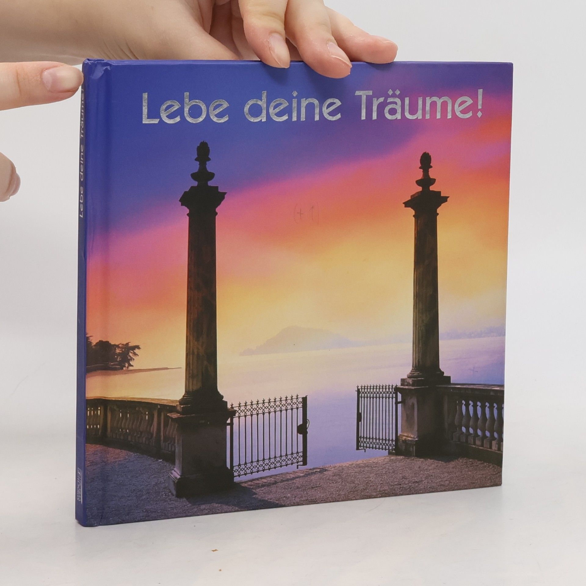 Autorenkollektiv Lebe deine Träume!