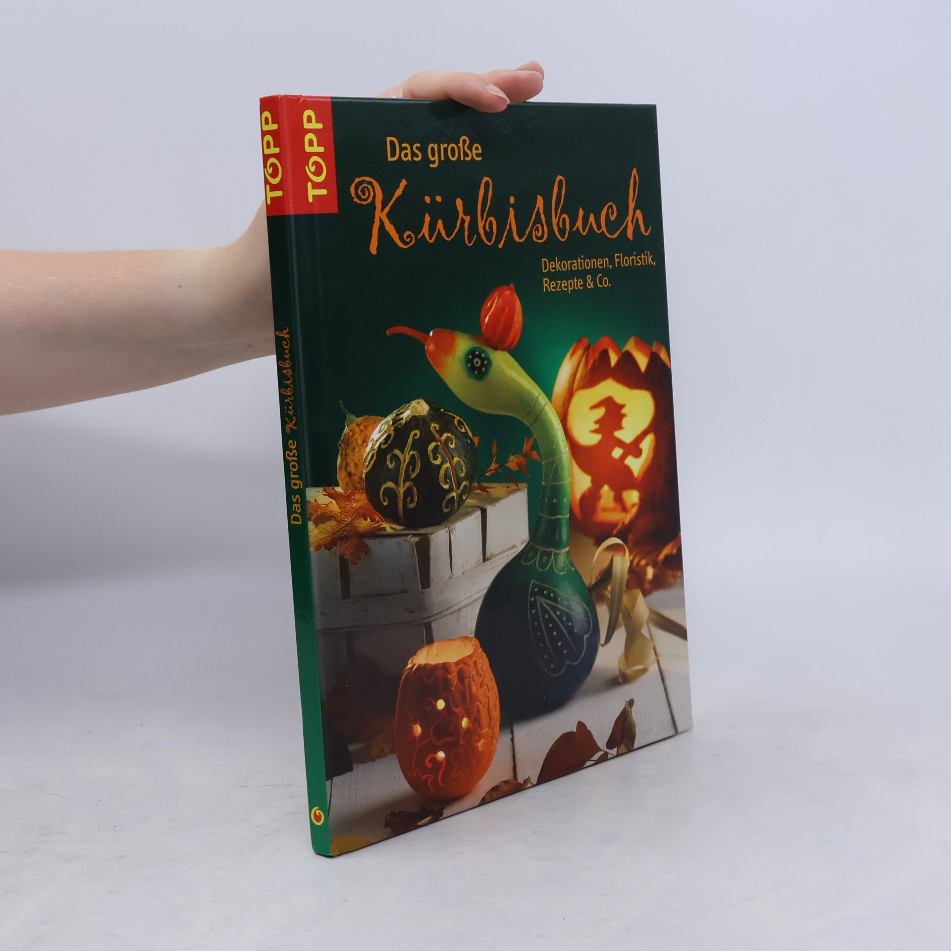 Stefan Hinner Das große Kürbisbuch