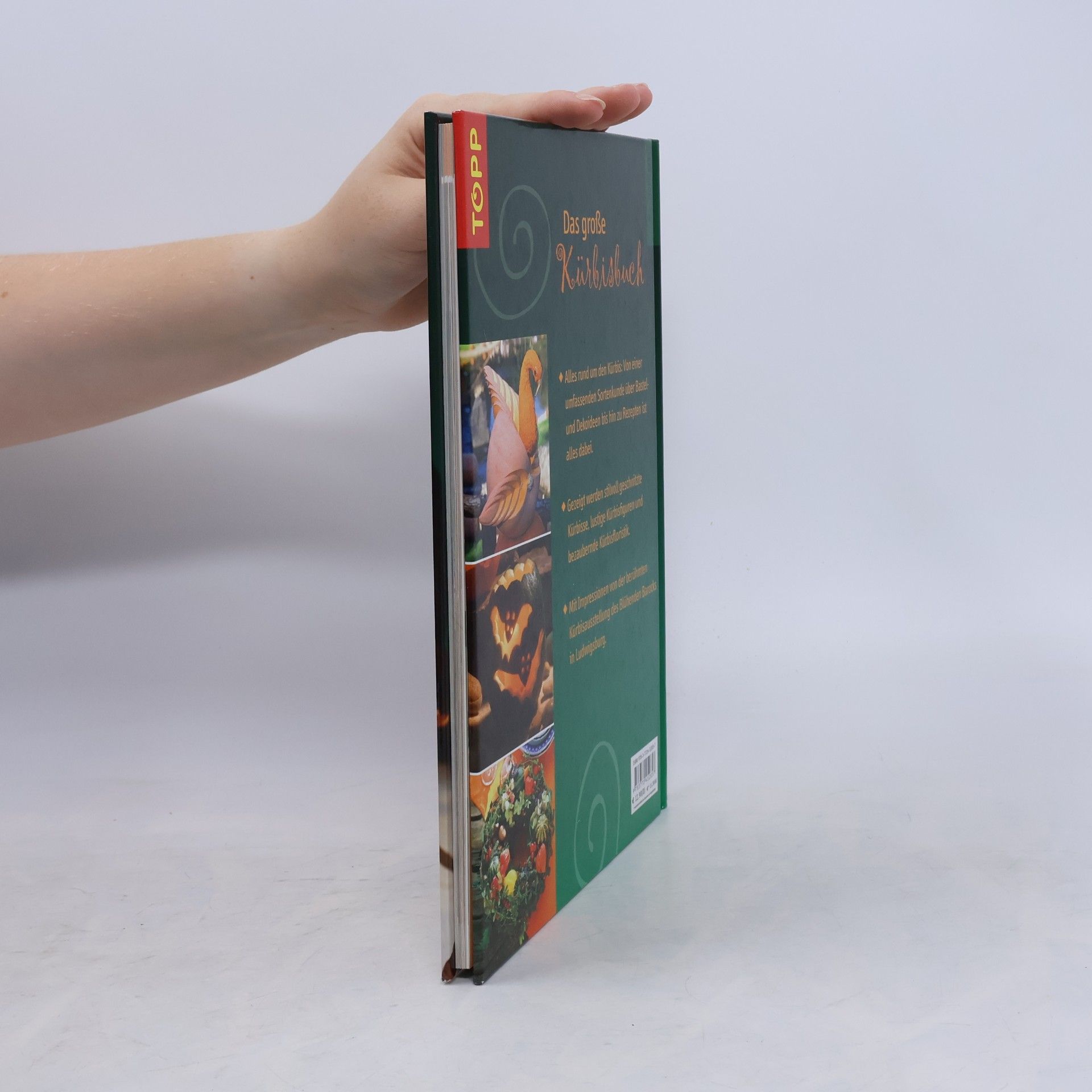 Sieglinde Holl Das große Kürbisbuch
