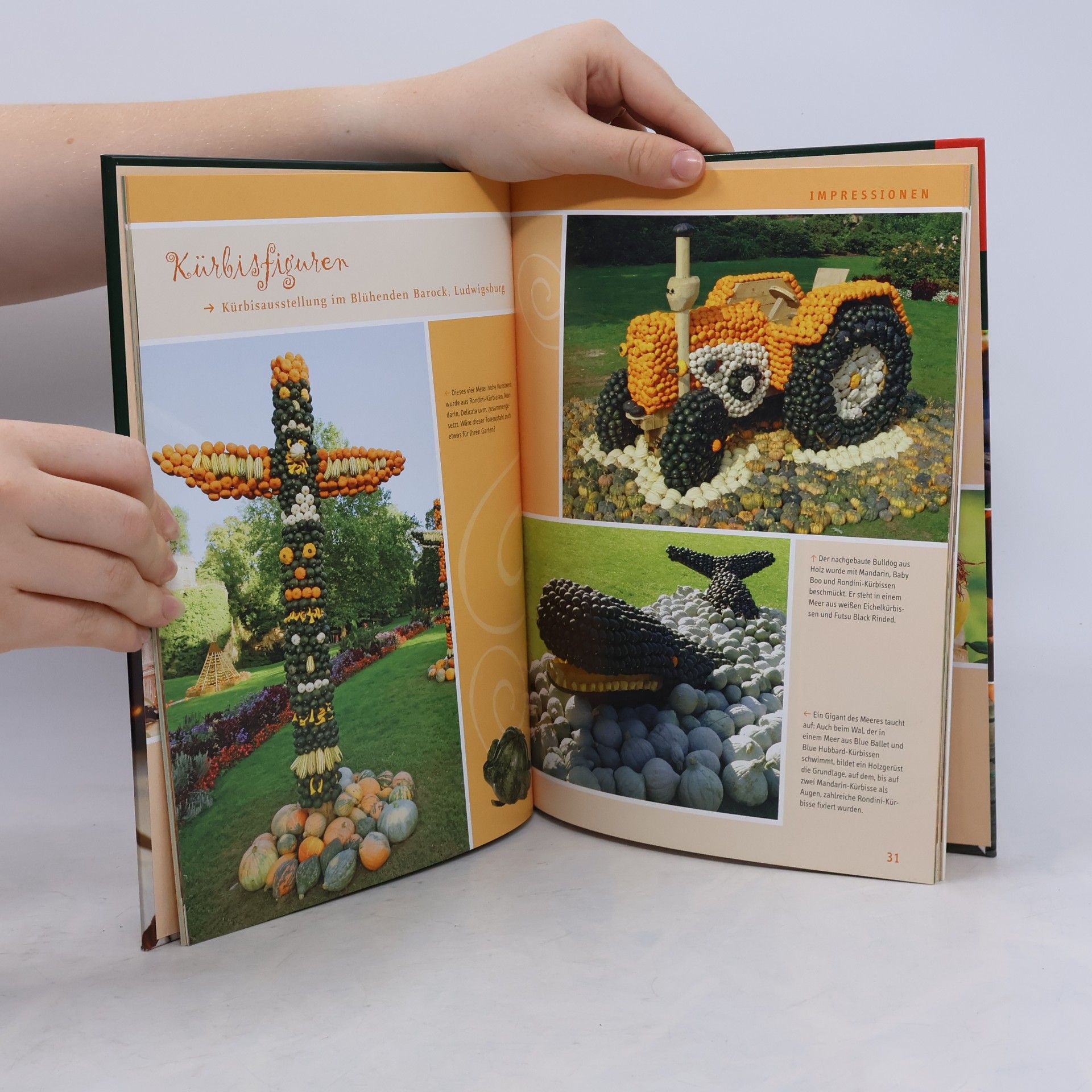 Sieglinde Holl Das große Kürbisbuch
