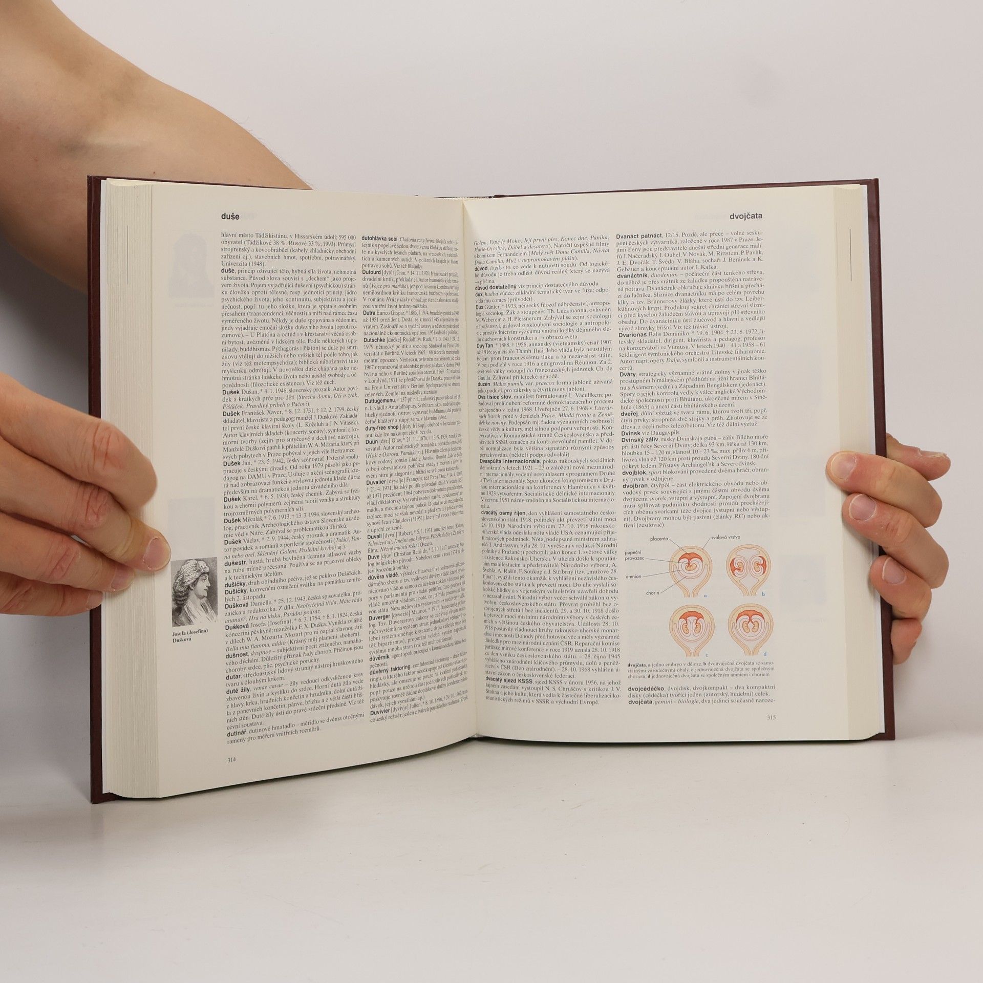 Autorenkollektiv Všeobecná encyklopedie v osmi svazcích. 2 C/F