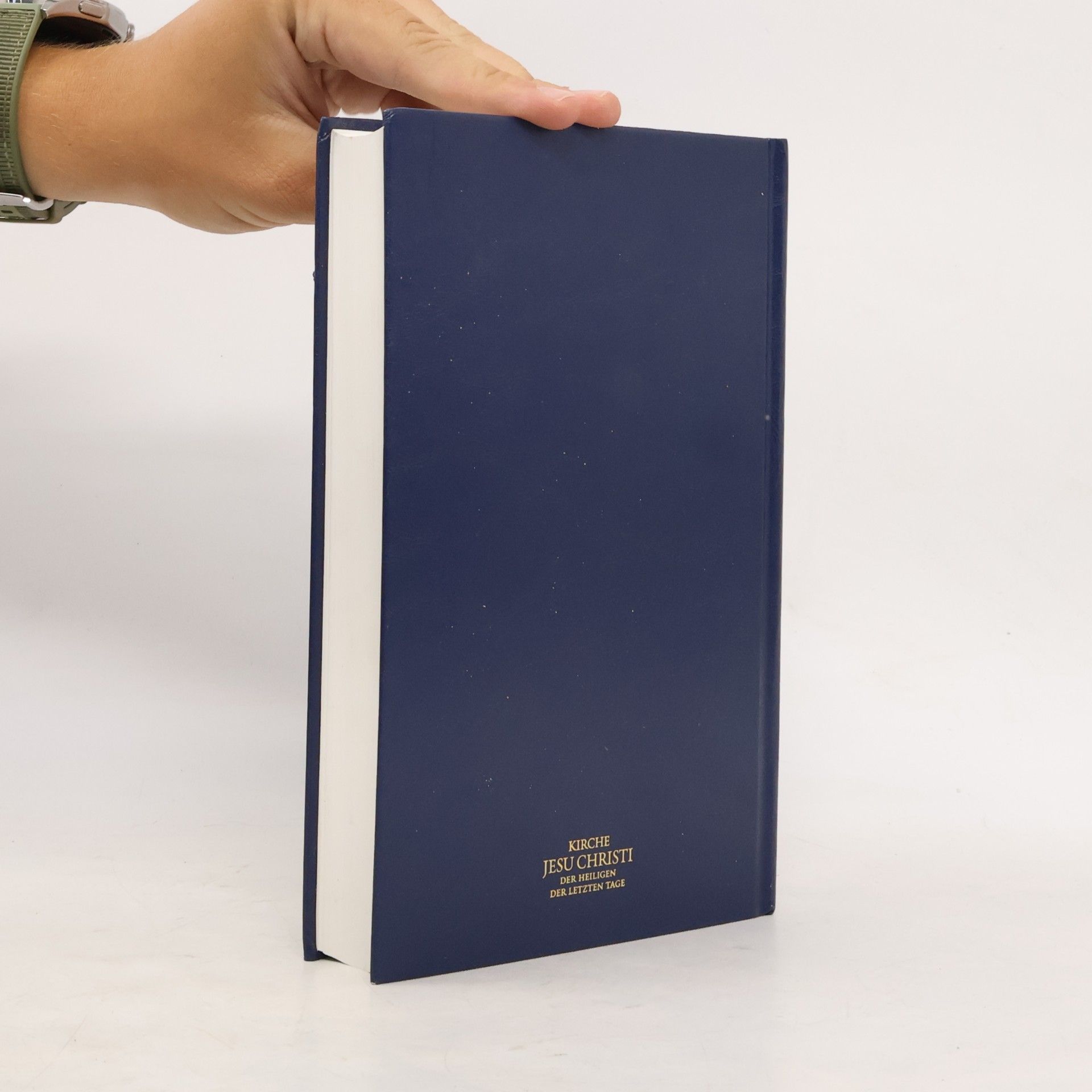 Kolektiv autorů Das Buch Mormon