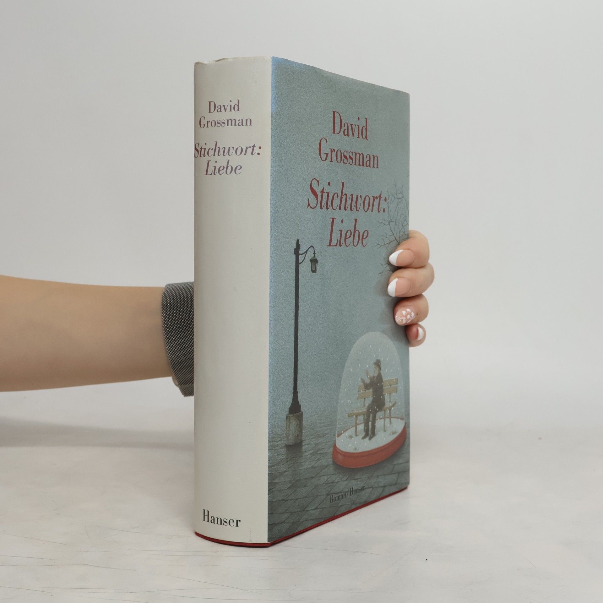 David Grossman Stichwort: Liebe