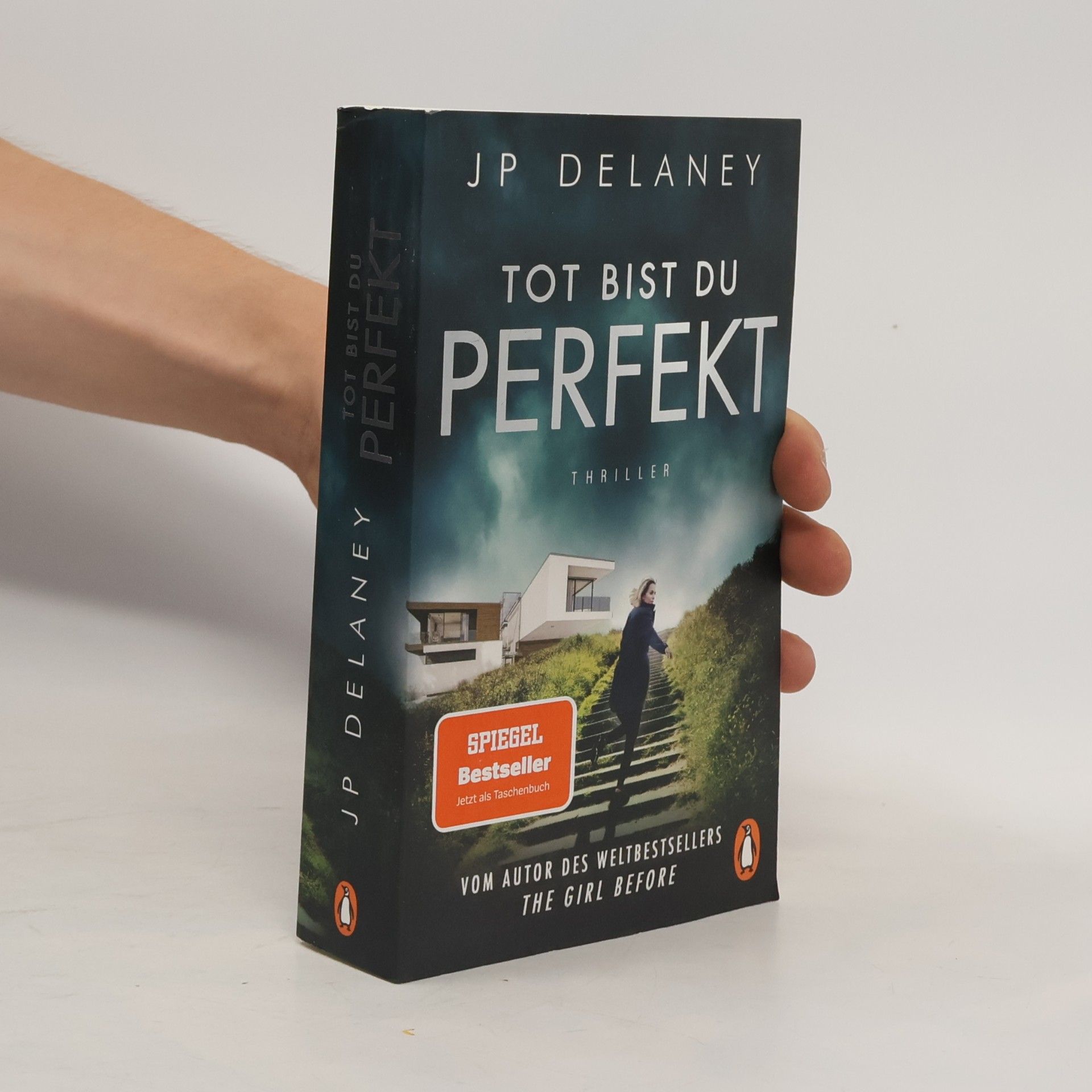 J. P. Delaney Tot bist du perfekt