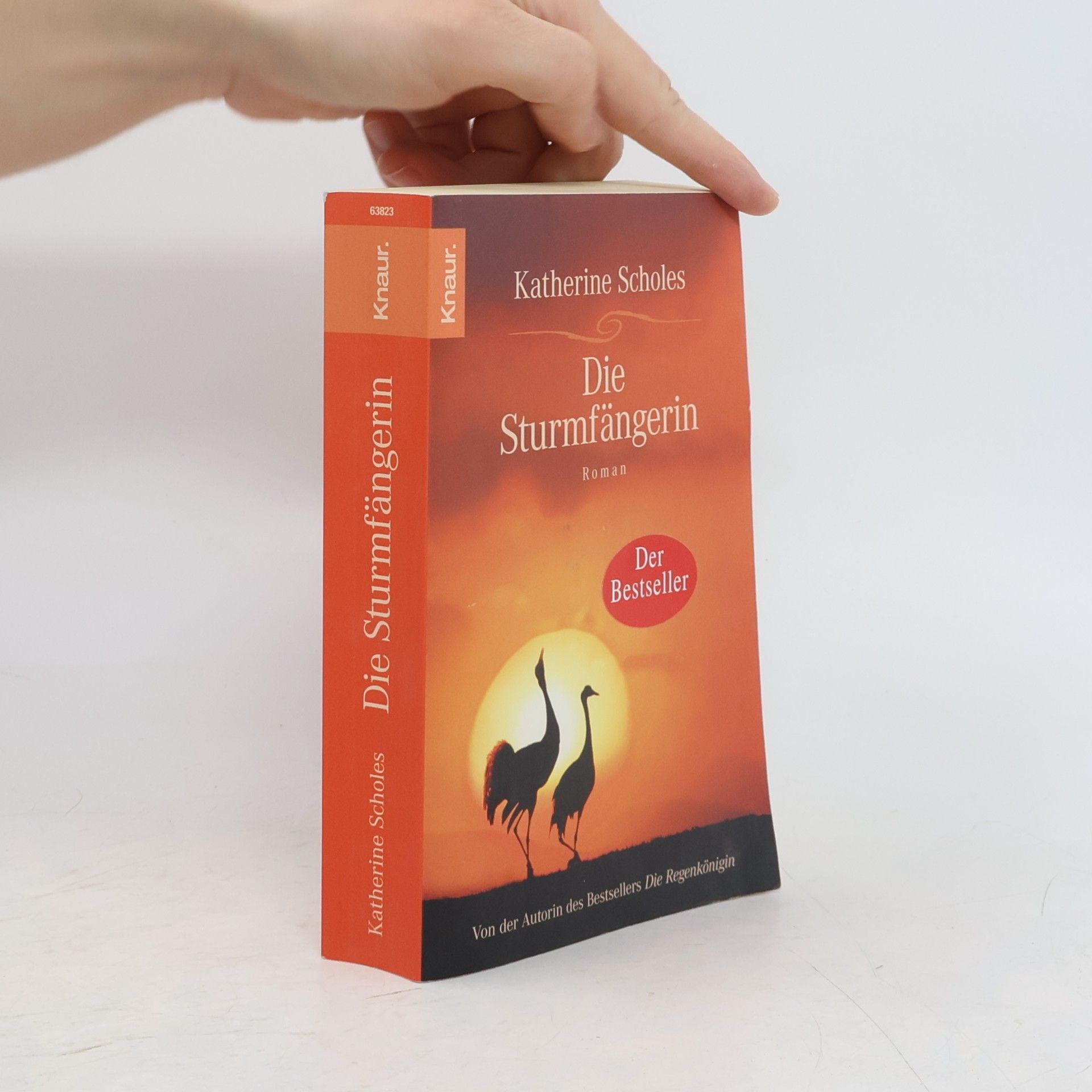 Katherine Scholes Die Sturmfängerin