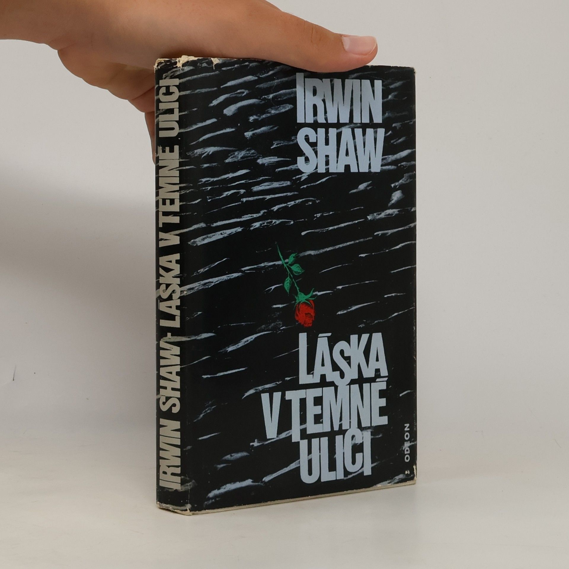 Irwin Shaw Láska v temné ulici