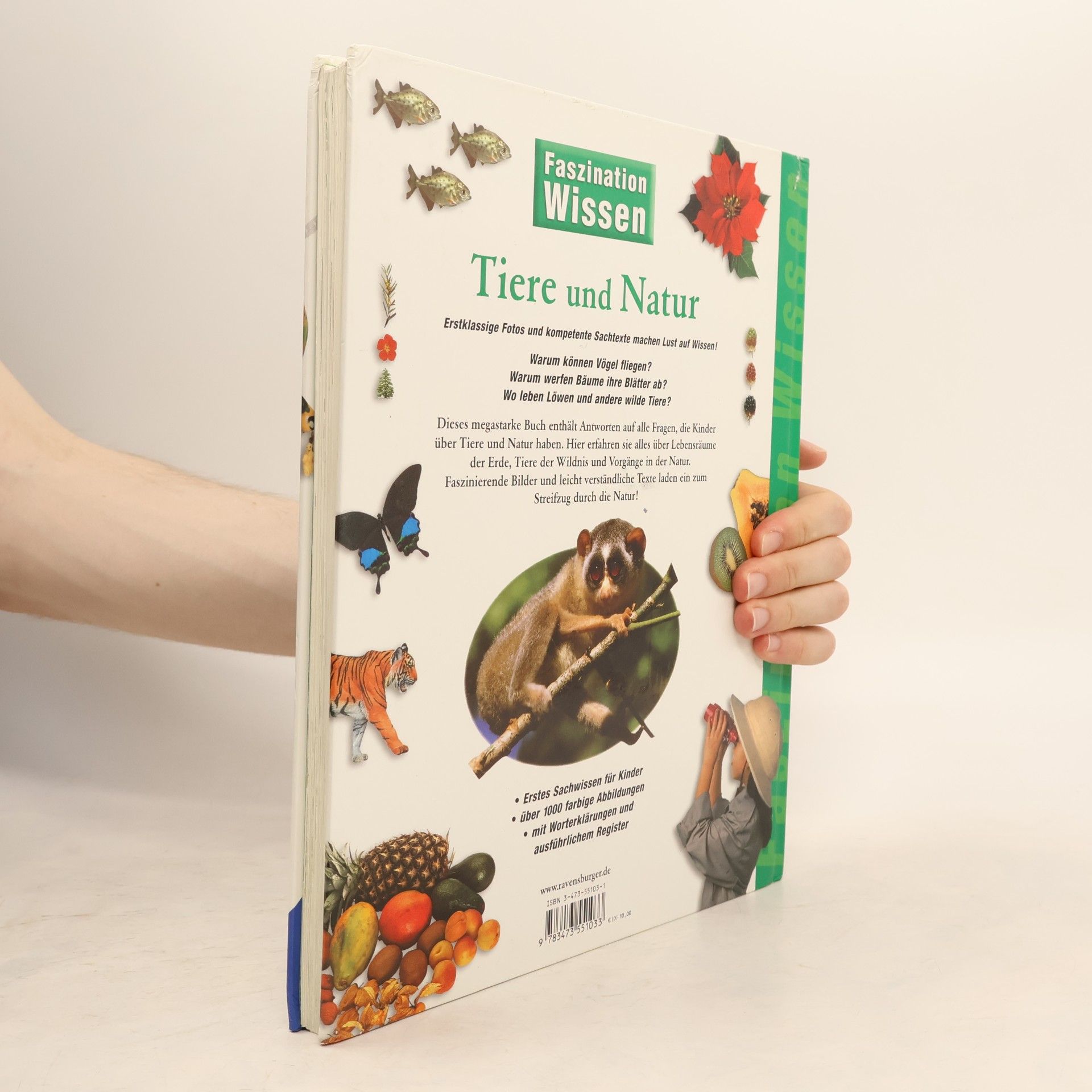 Sabine Zürn Tiere und Natur