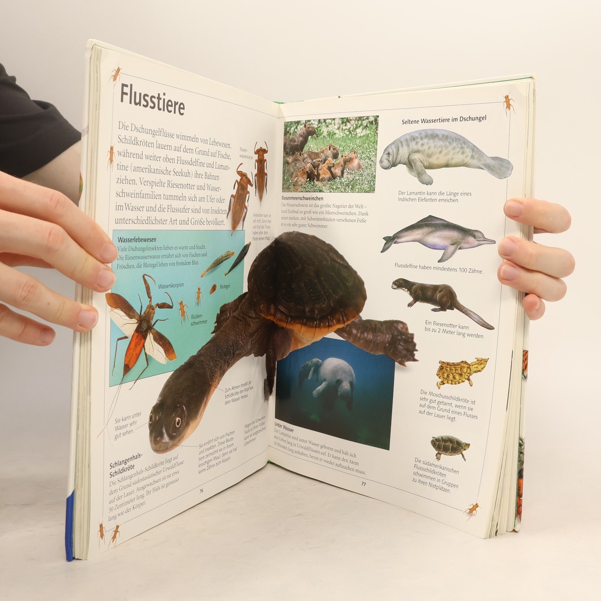 Sabine Zürn Tiere und Natur