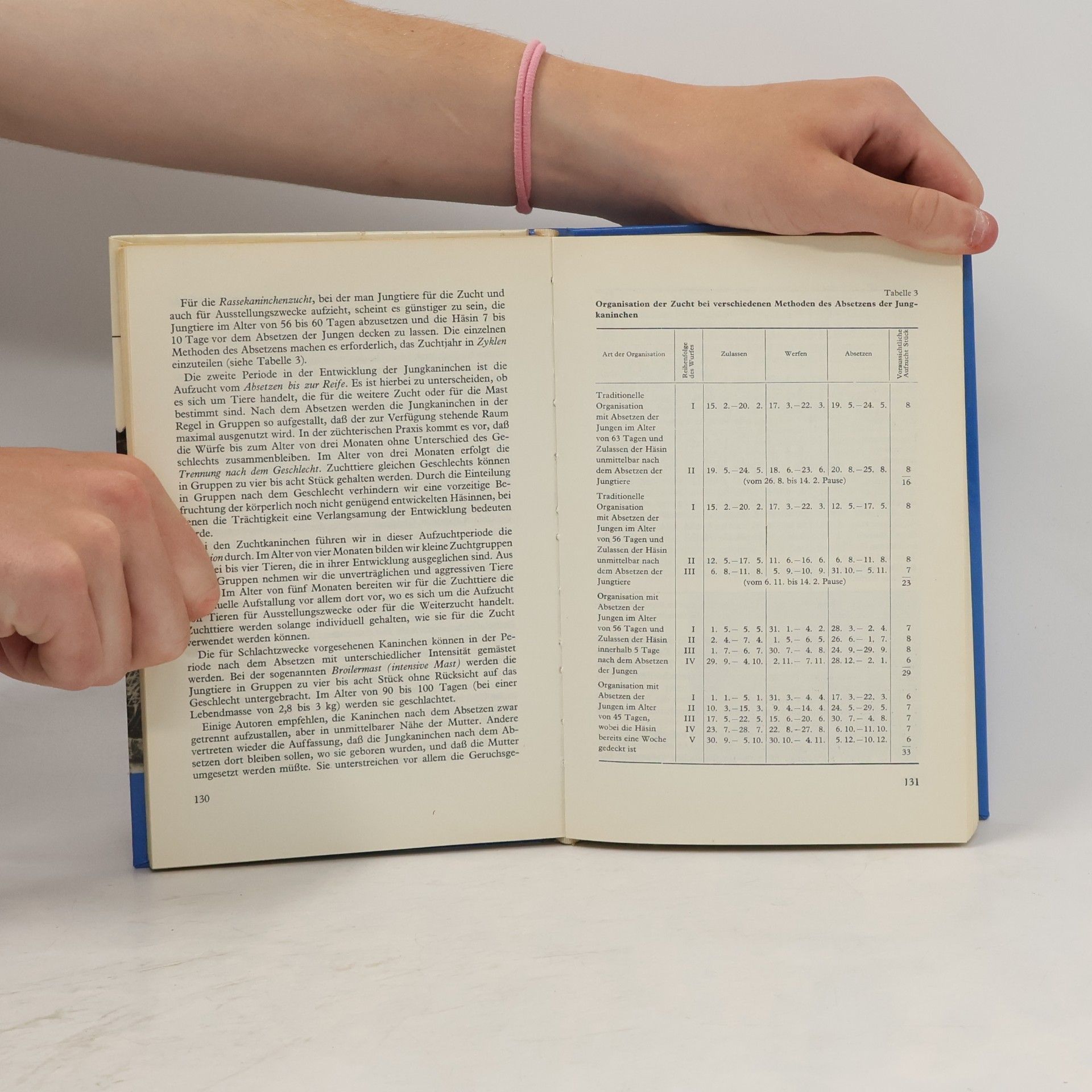 Autorenkollektiv Kaninchenhaltung - Kaninchenzucht