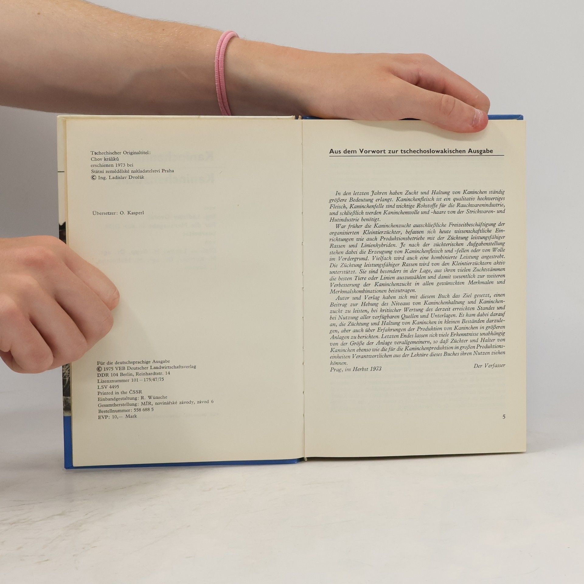 Autorenkollektiv Kaninchenhaltung - Kaninchenzucht