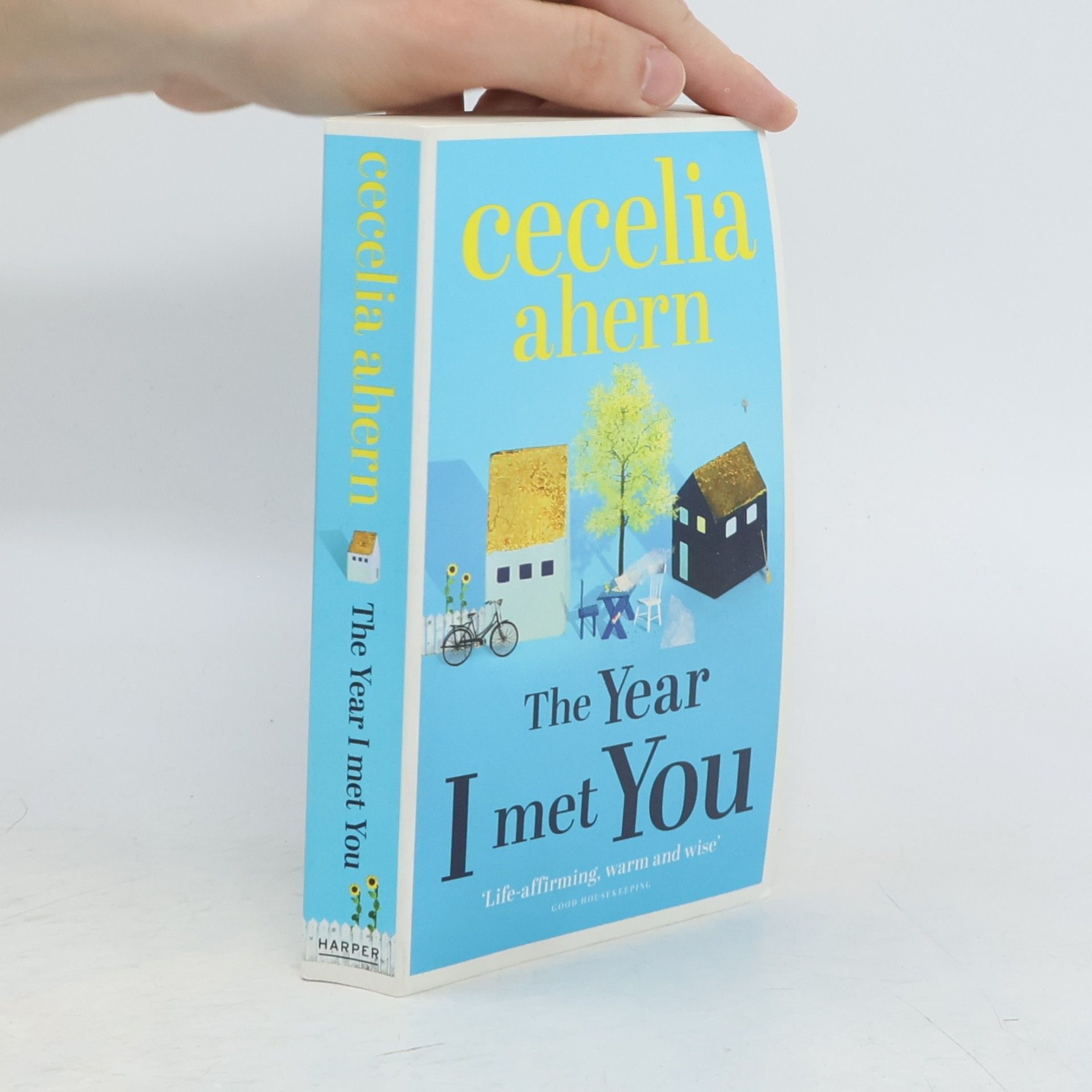 Cecelia Ahern The year I met you