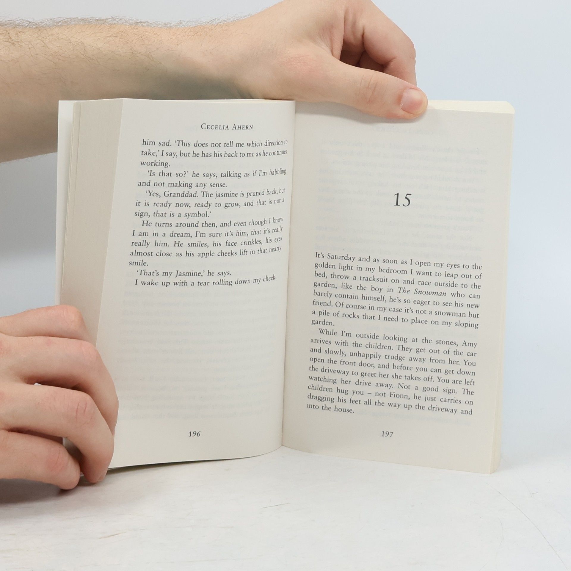 Cecelia Ahern The year I met you