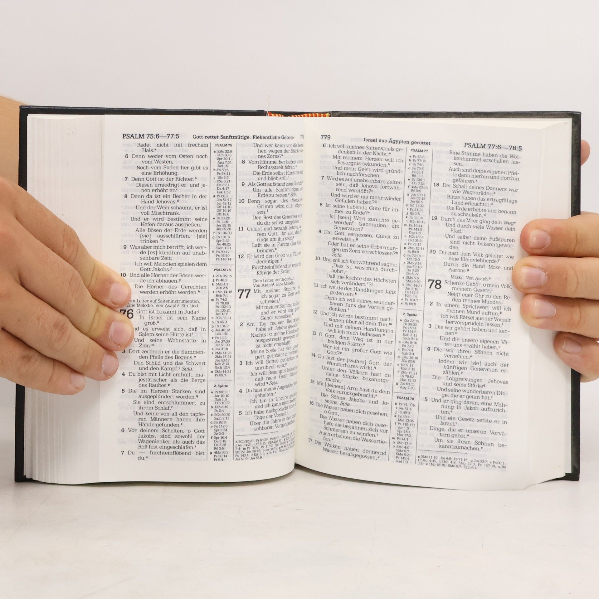 Collectif d'auteurs Neue-Welt-Übersetzung der Heiligen Schrift