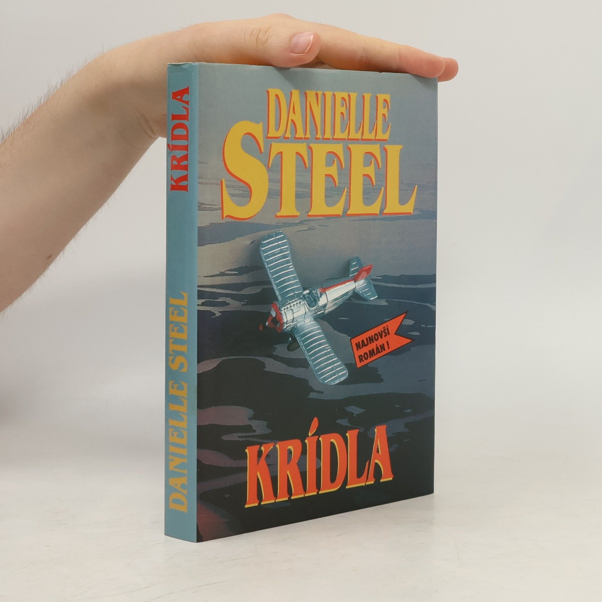 Danielle Steel Krídla