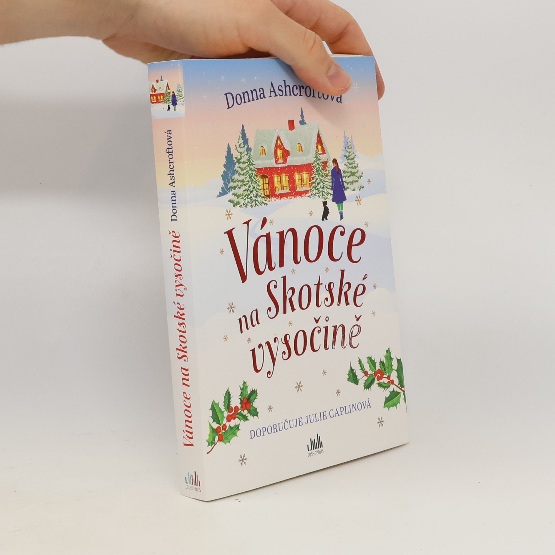 Donna Ashcroft Vánoce na Skotské vysočině