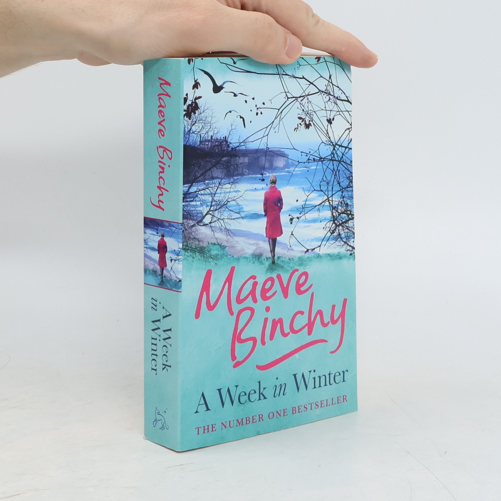 Maeve Binchy A Week in Winter