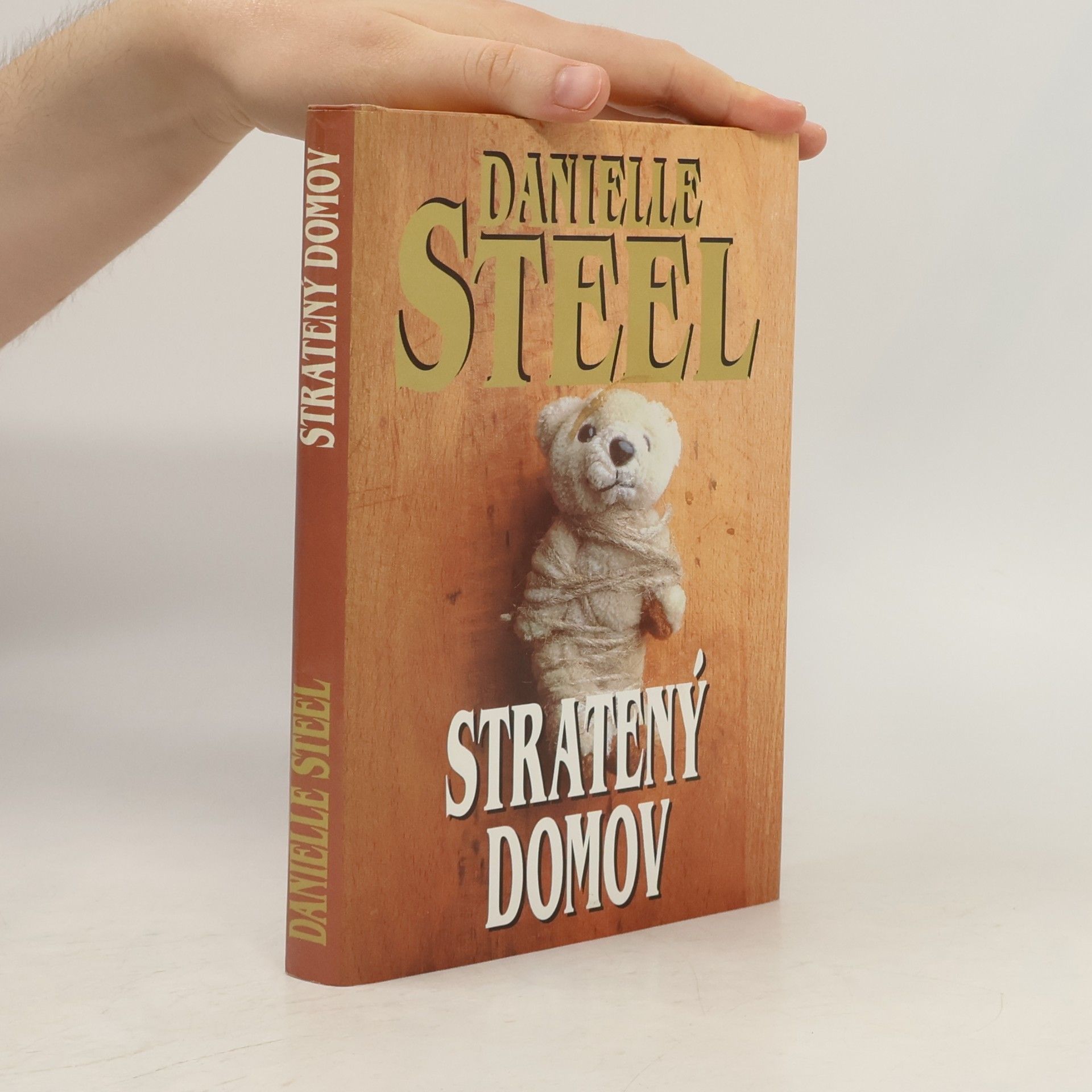 Danielle Steel Stratený domov