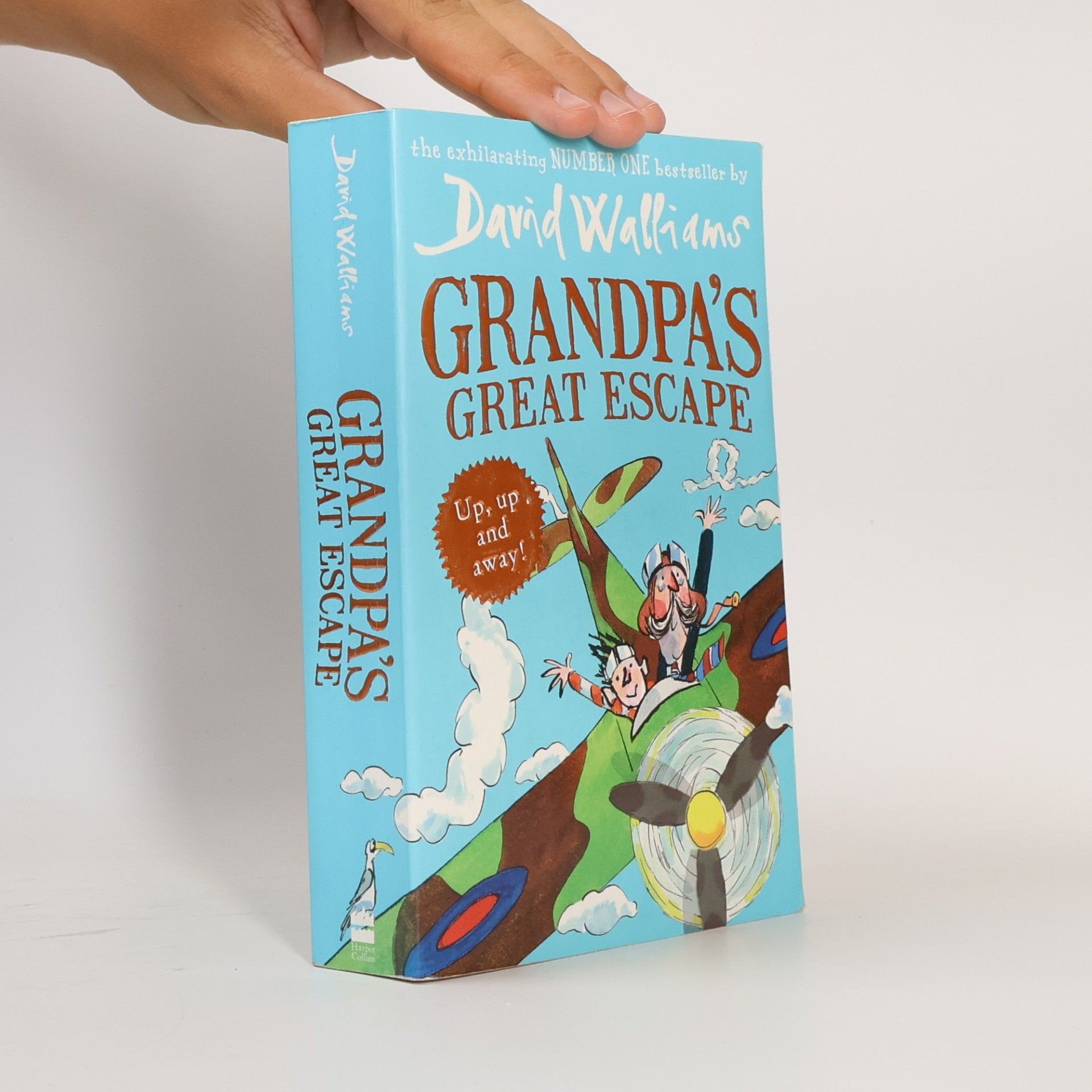 David Walliams Grandpa's Great Escape