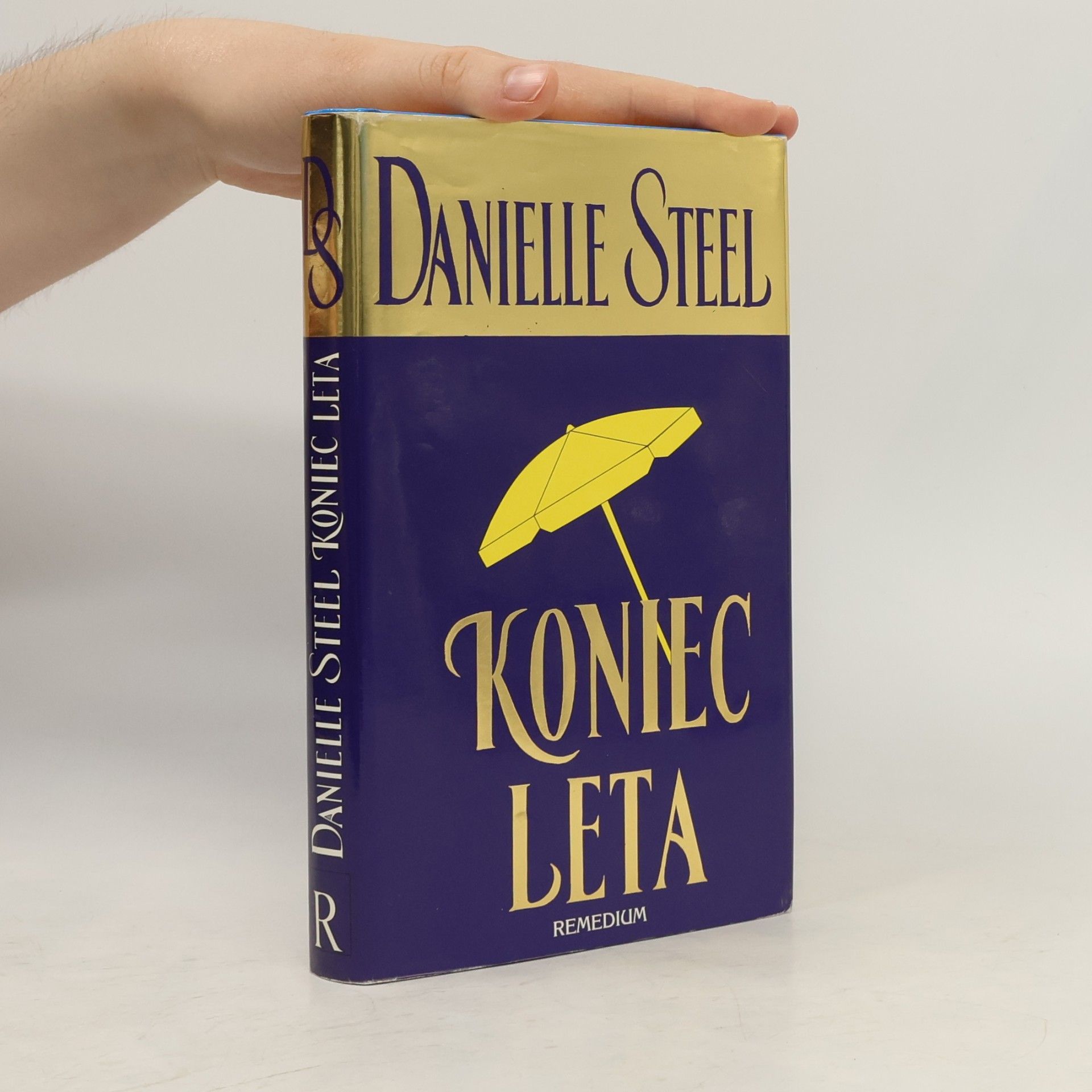 Danielle Steel Koniec leta