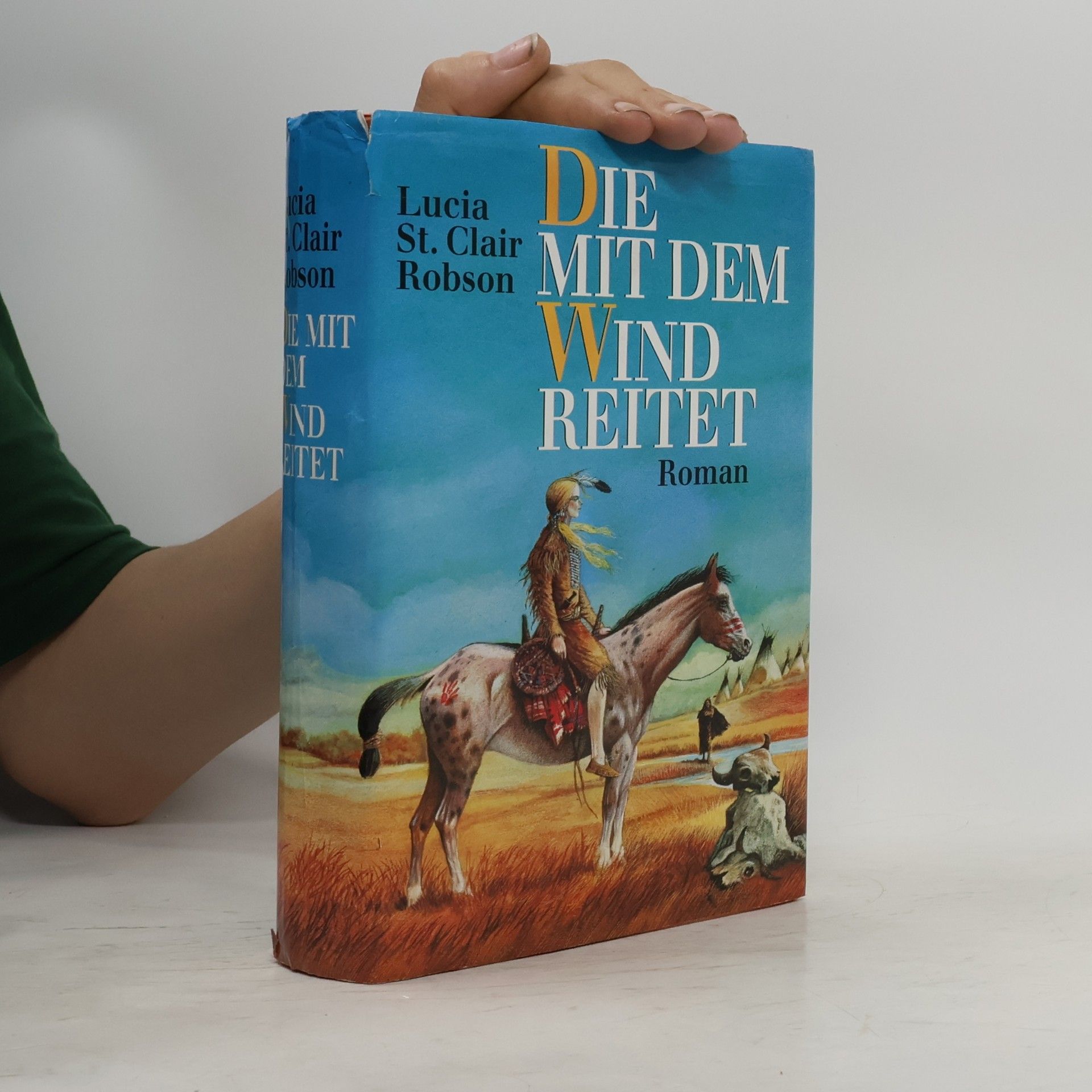Lucia St. Clair Robson Die mit dem Wind reitet