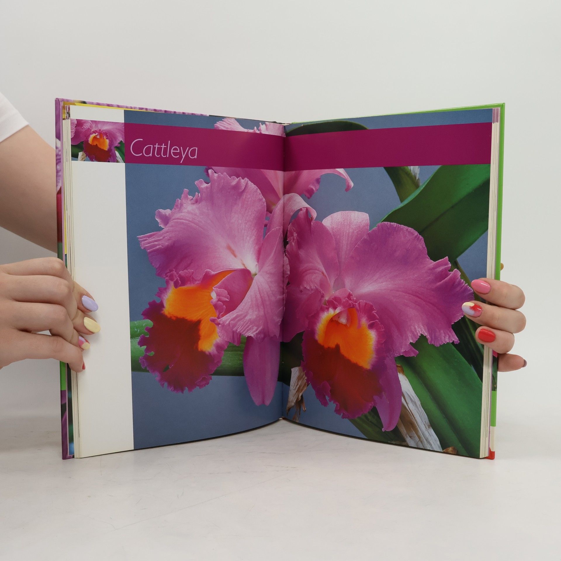 Jörn Pinske Orchideen für jeden