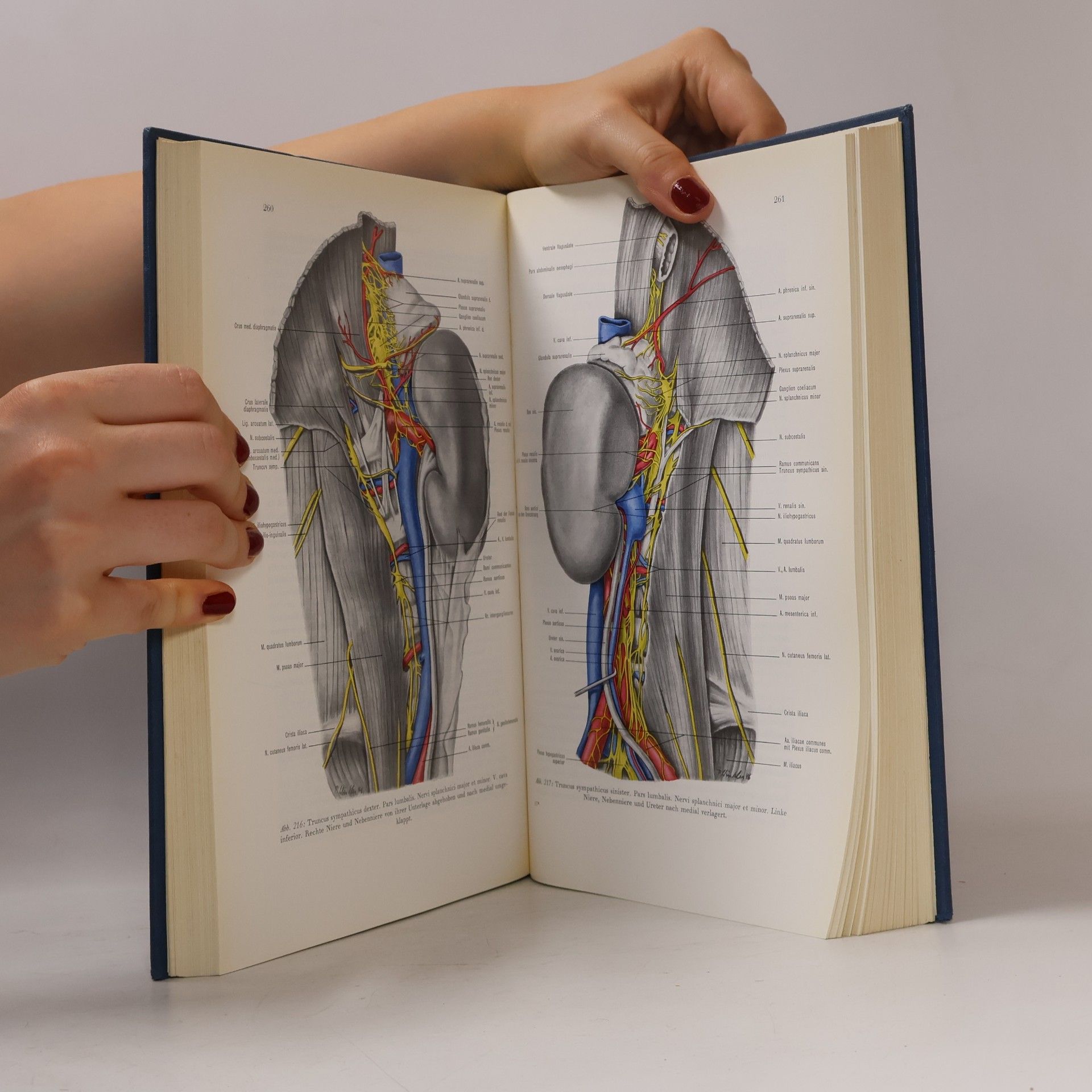 Gian Töndury Angewandte und topographische Anatomie