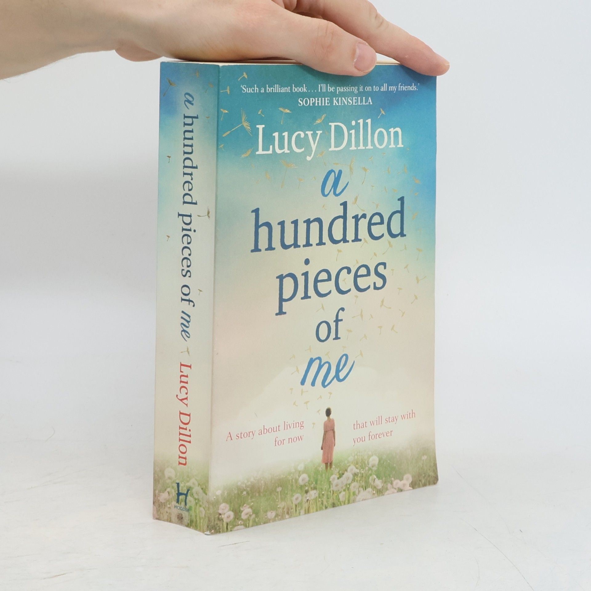 Lucy Dillon A Hundred Pieces of Me
