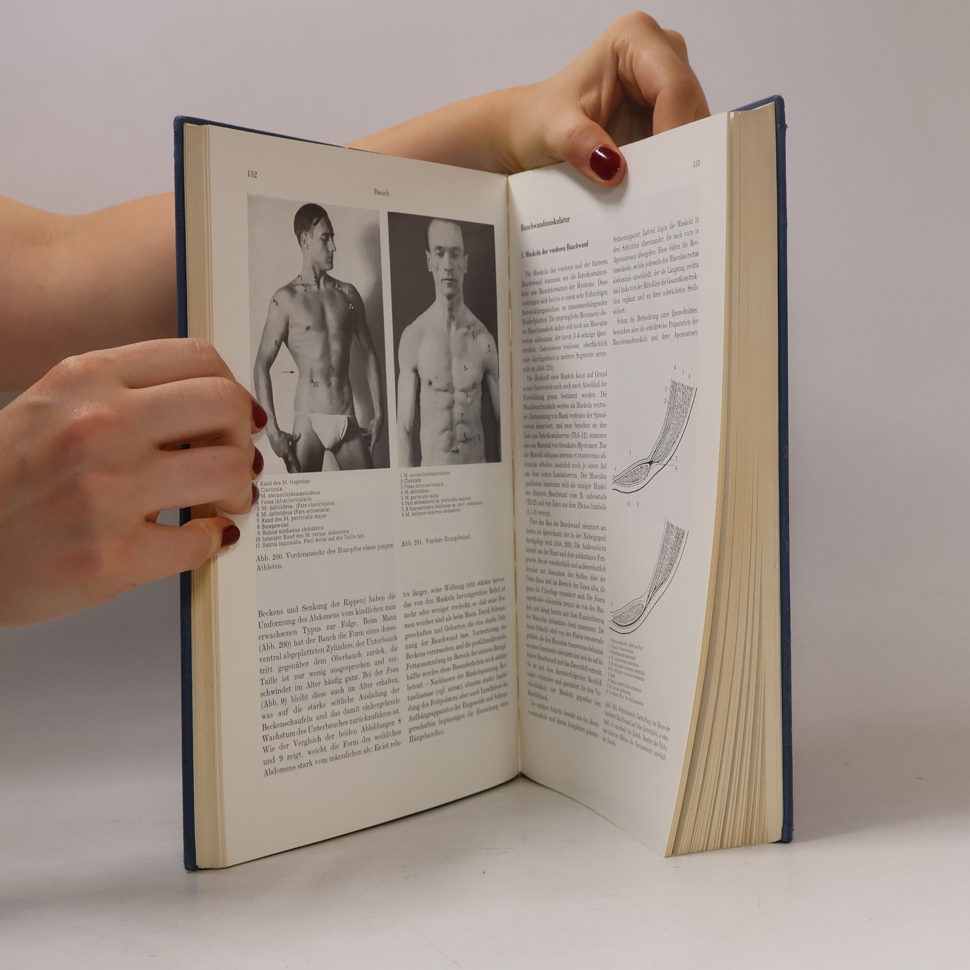 Autorenkollektiv Lehrbuch und Atlas der Anatomie des Menschen