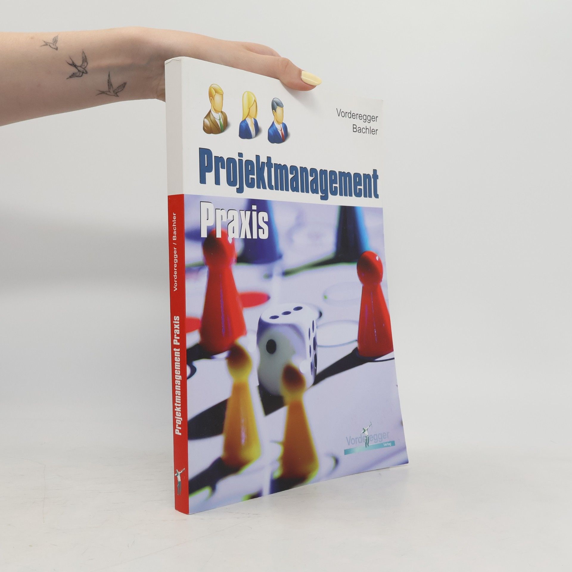 Projektmanagement Praxis