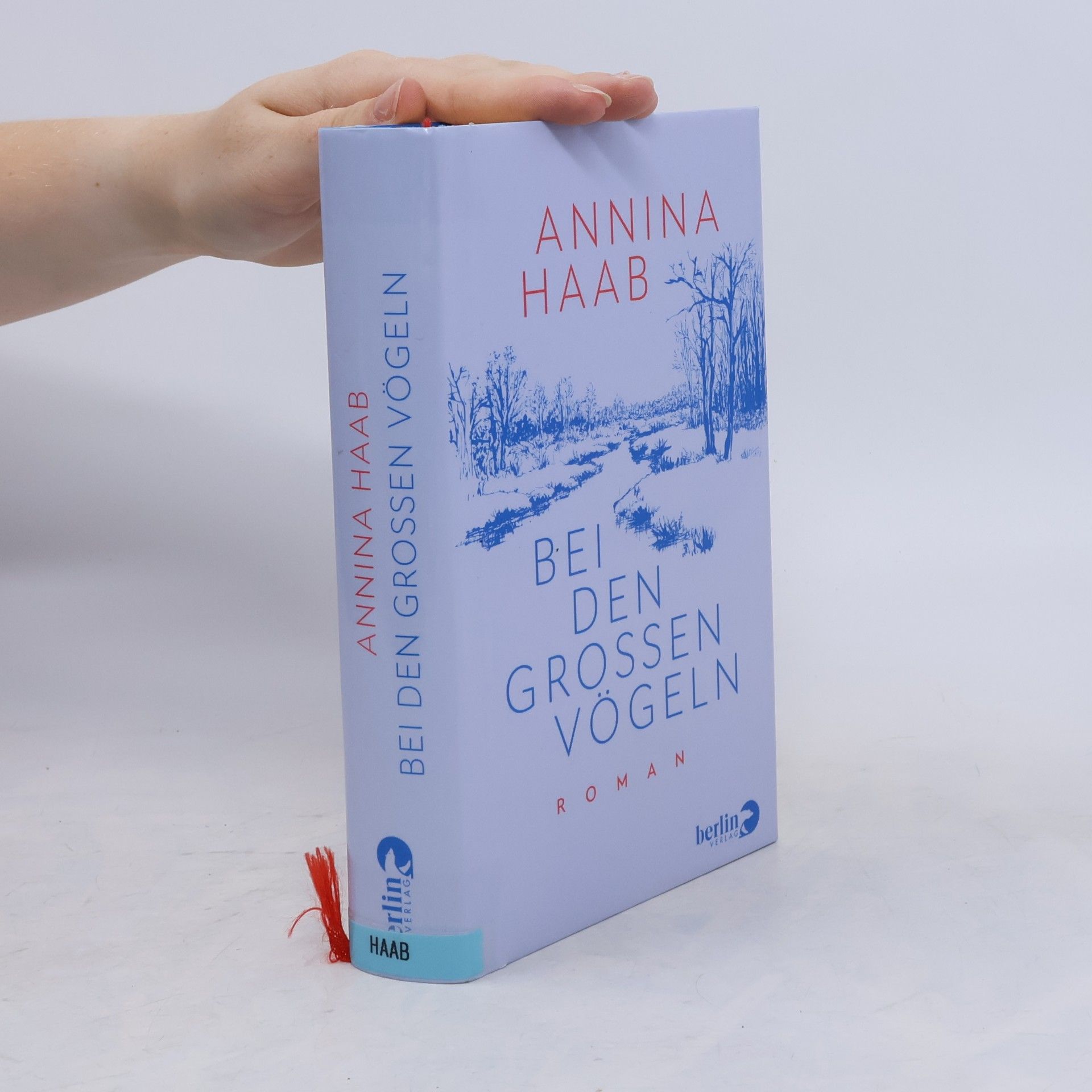 Annina Haab Bei den großen Vögeln