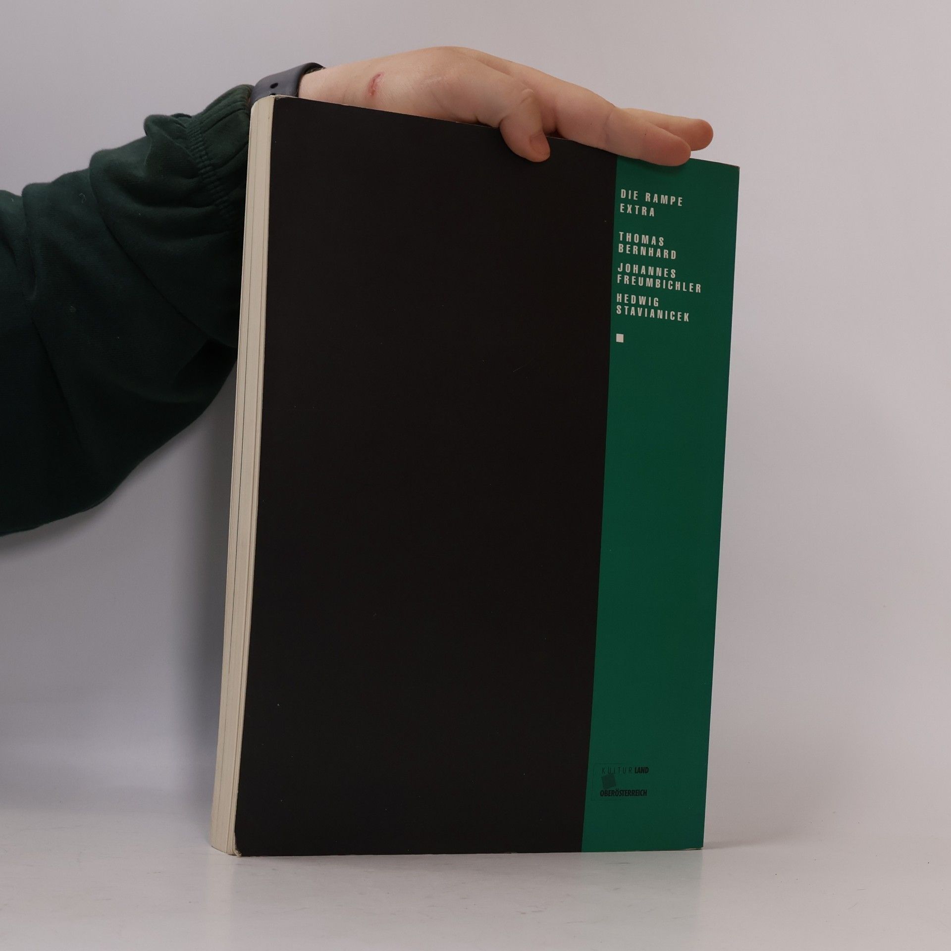 Manfred Mittermayer Die Rampe. Thomas Bernhard, Johannes Freumbichler, Hedwig Stavianicek