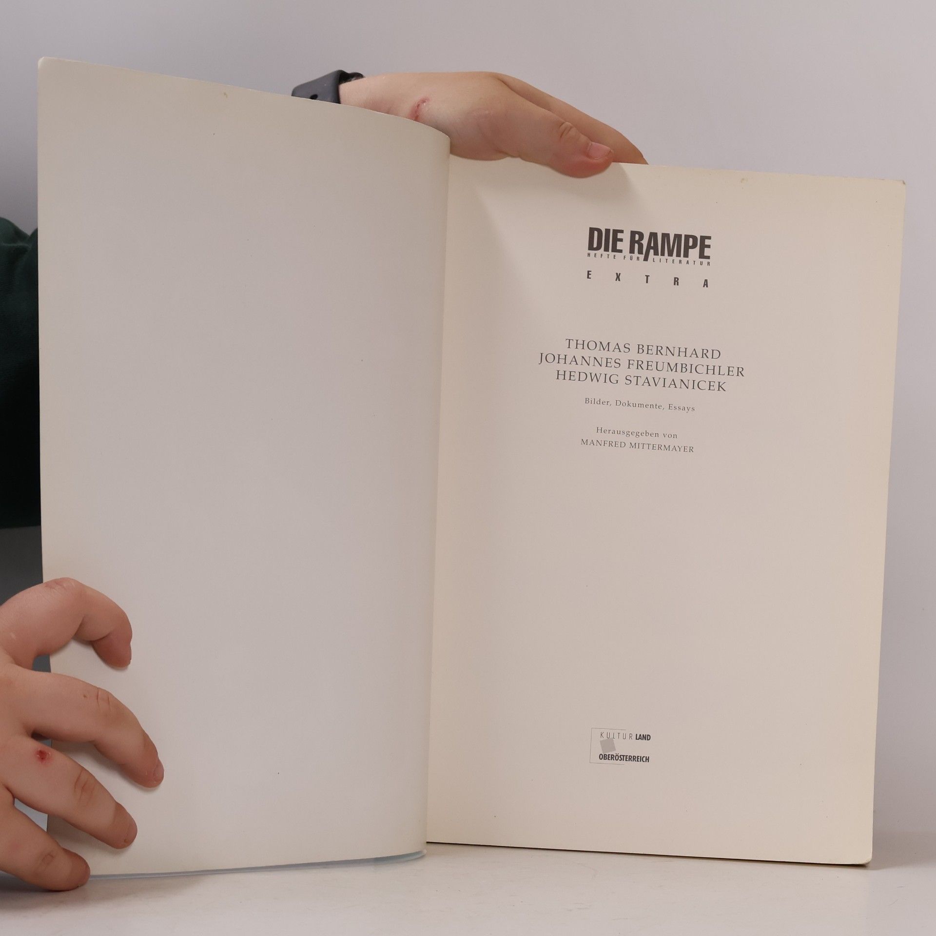 Manfred Mittermayer Die Rampe. Thomas Bernhard, Johannes Freumbichler, Hedwig Stavianicek