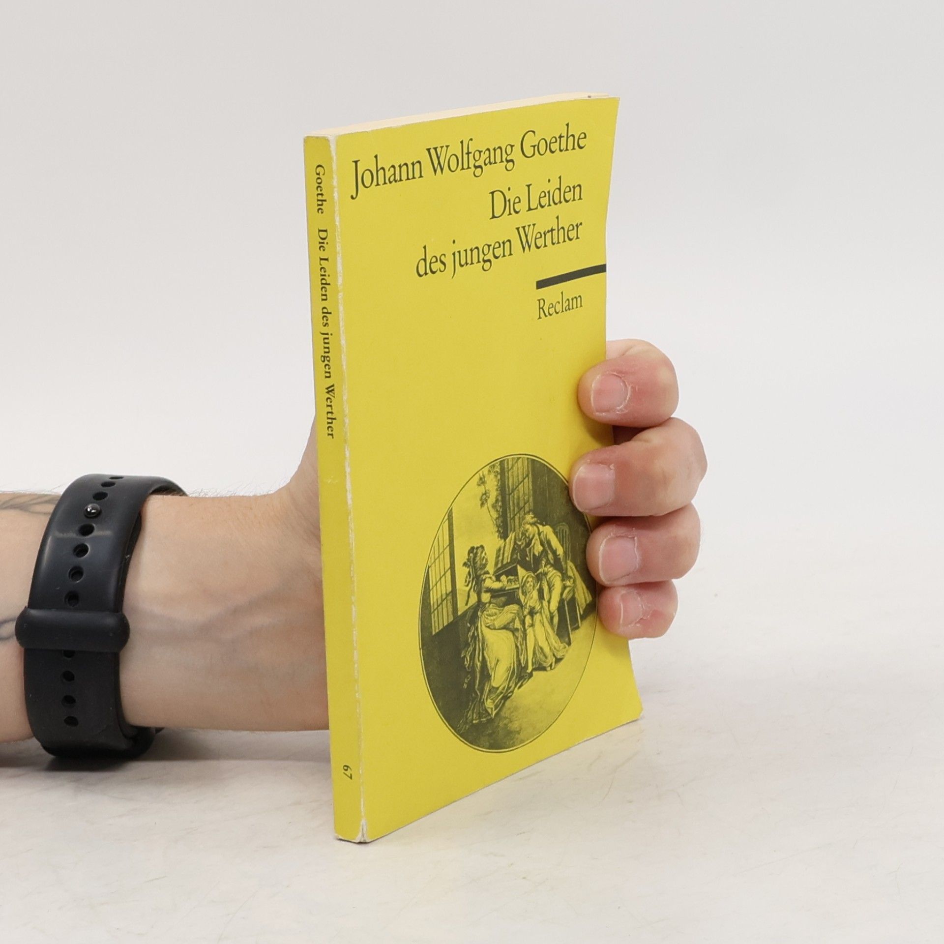 Johann Wolfgang von Goethe Die Leiden des jungen Werther