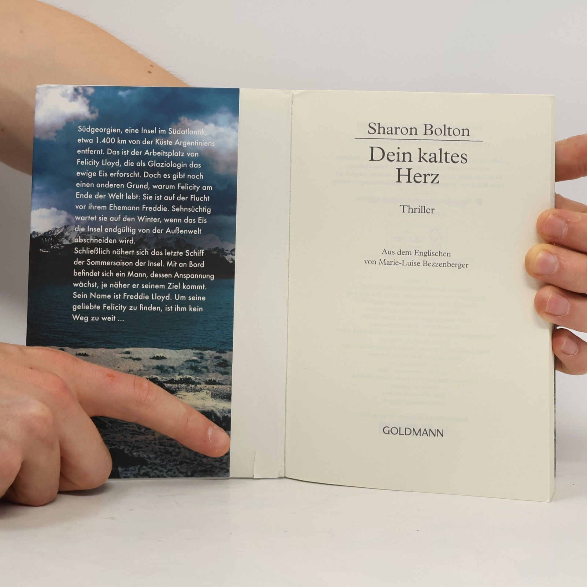 S. J. Bolton Dein kaltes Herz