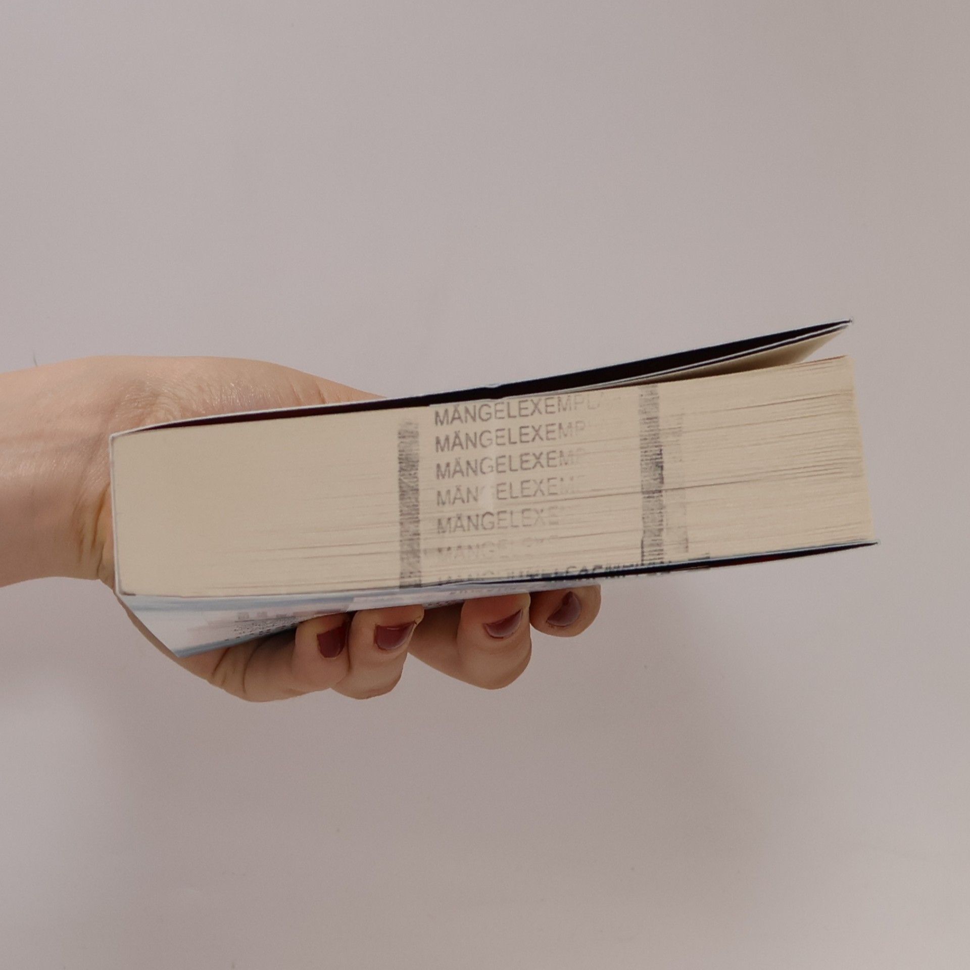 Matilde Asensi Das letzte Mysterium