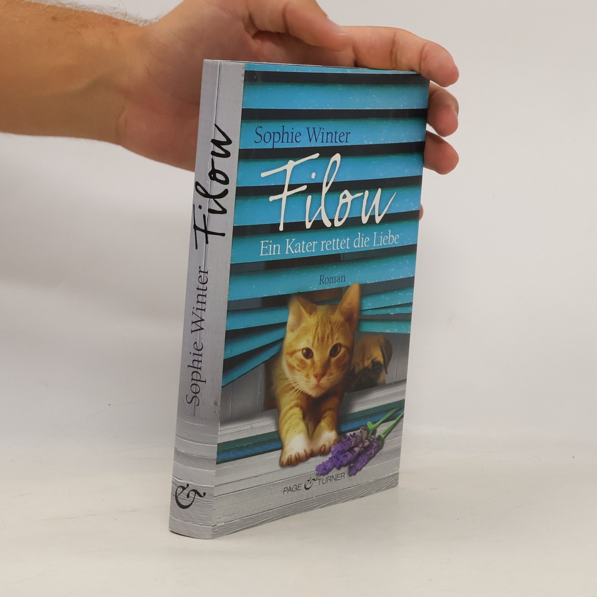 Sophie Winter Filou. Ein Kater rettet die Liebe