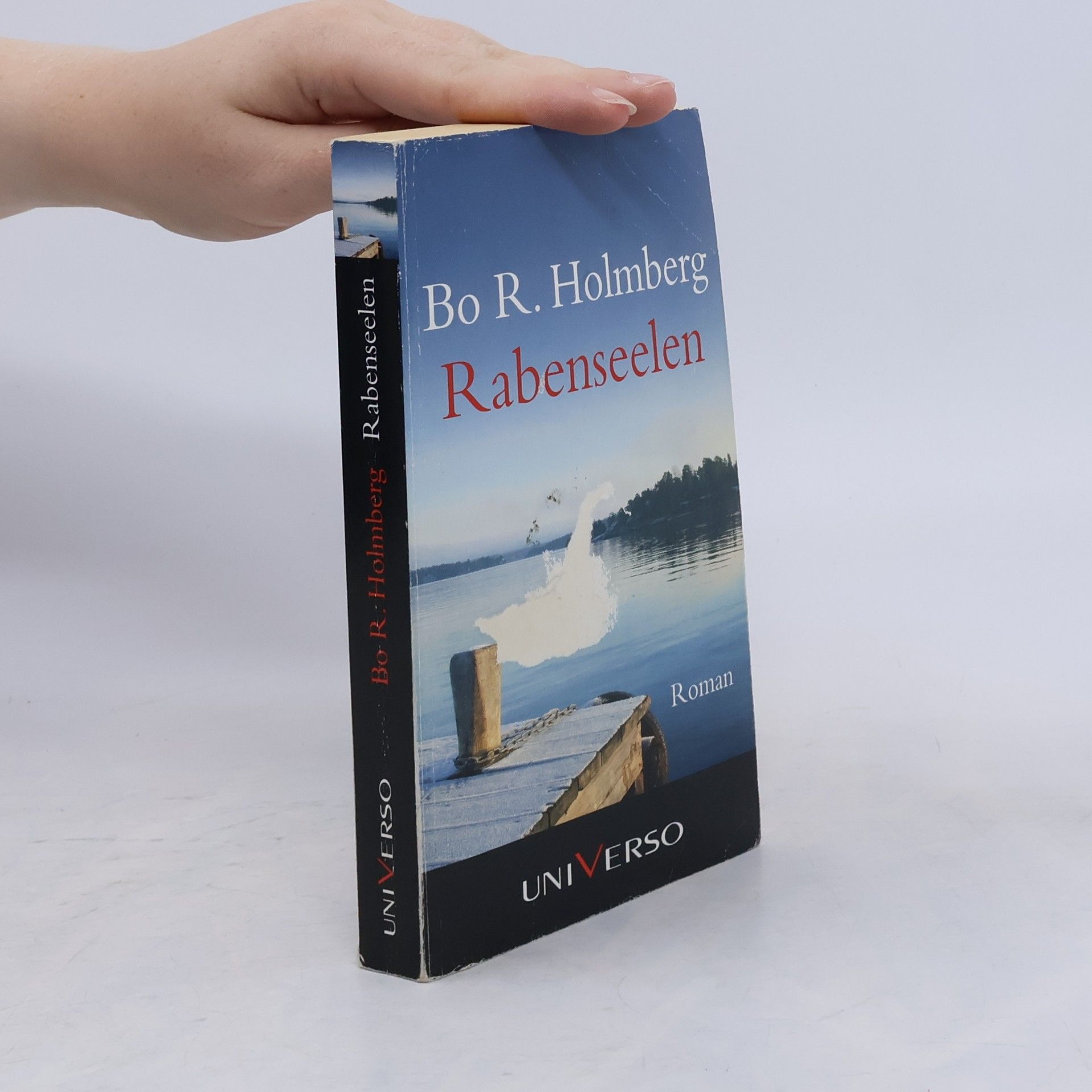 Bo R. Holmberg Rabenseelen