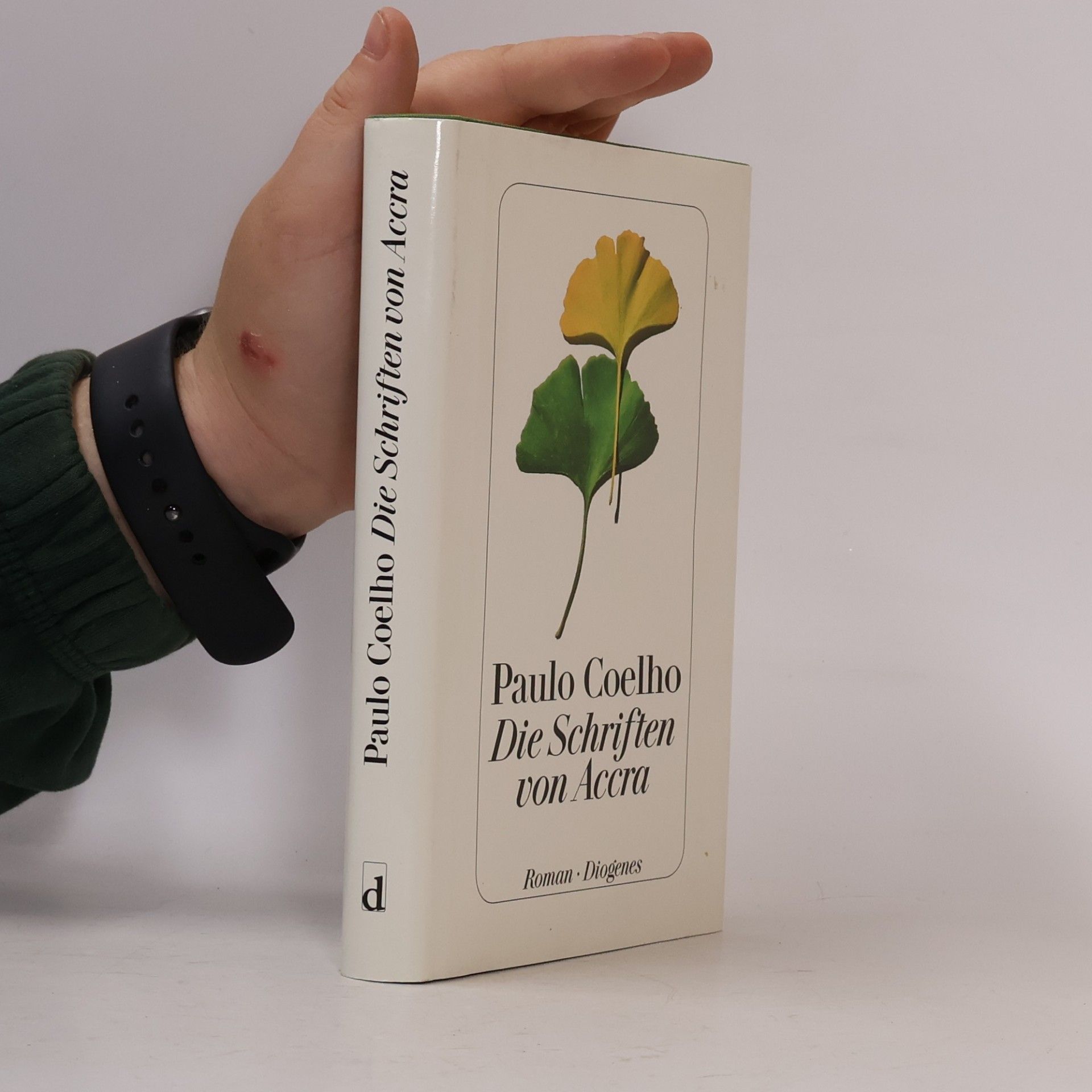 Paulo Coelho Die Schriften von Accra : Roman