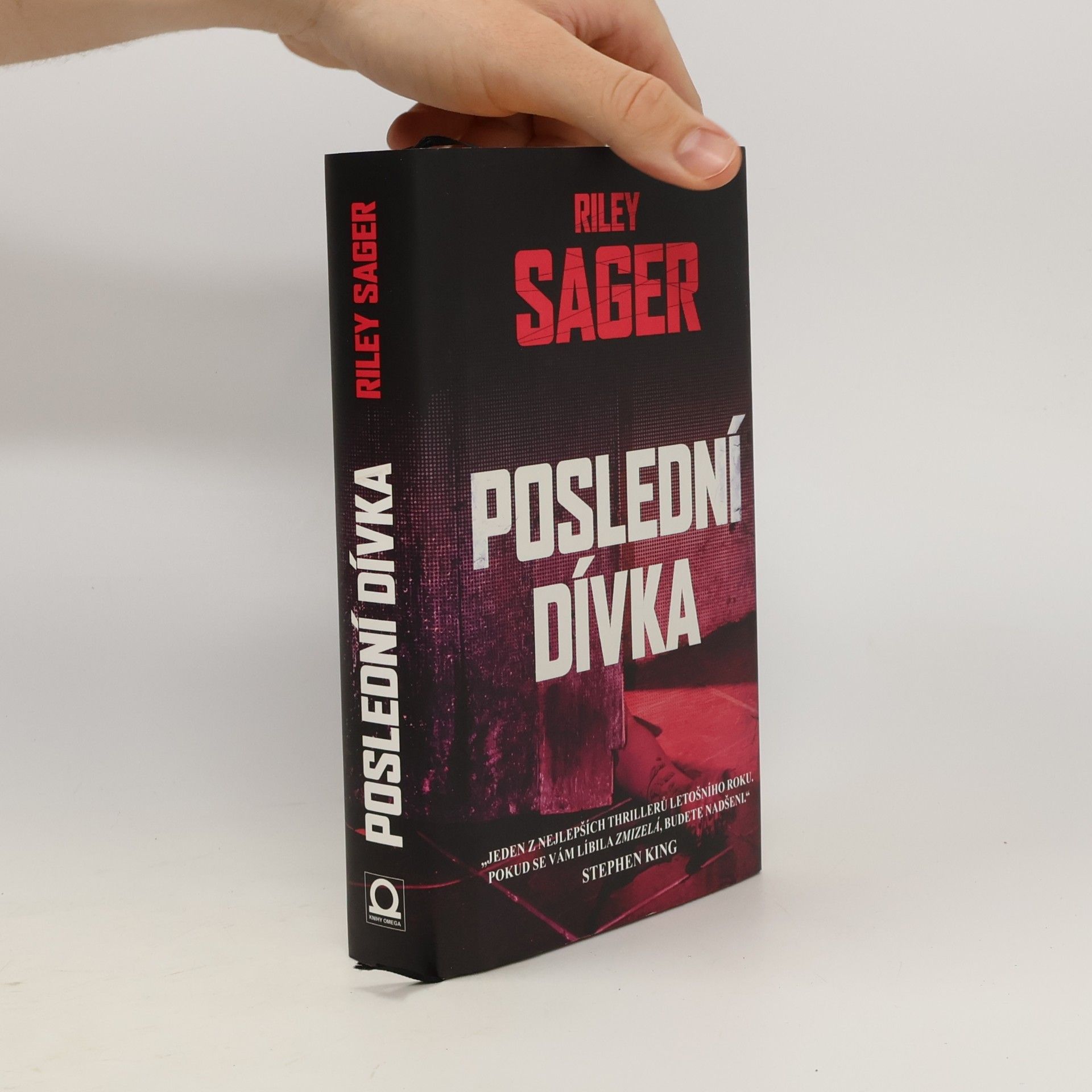 Todd Ritter Poslední dívka