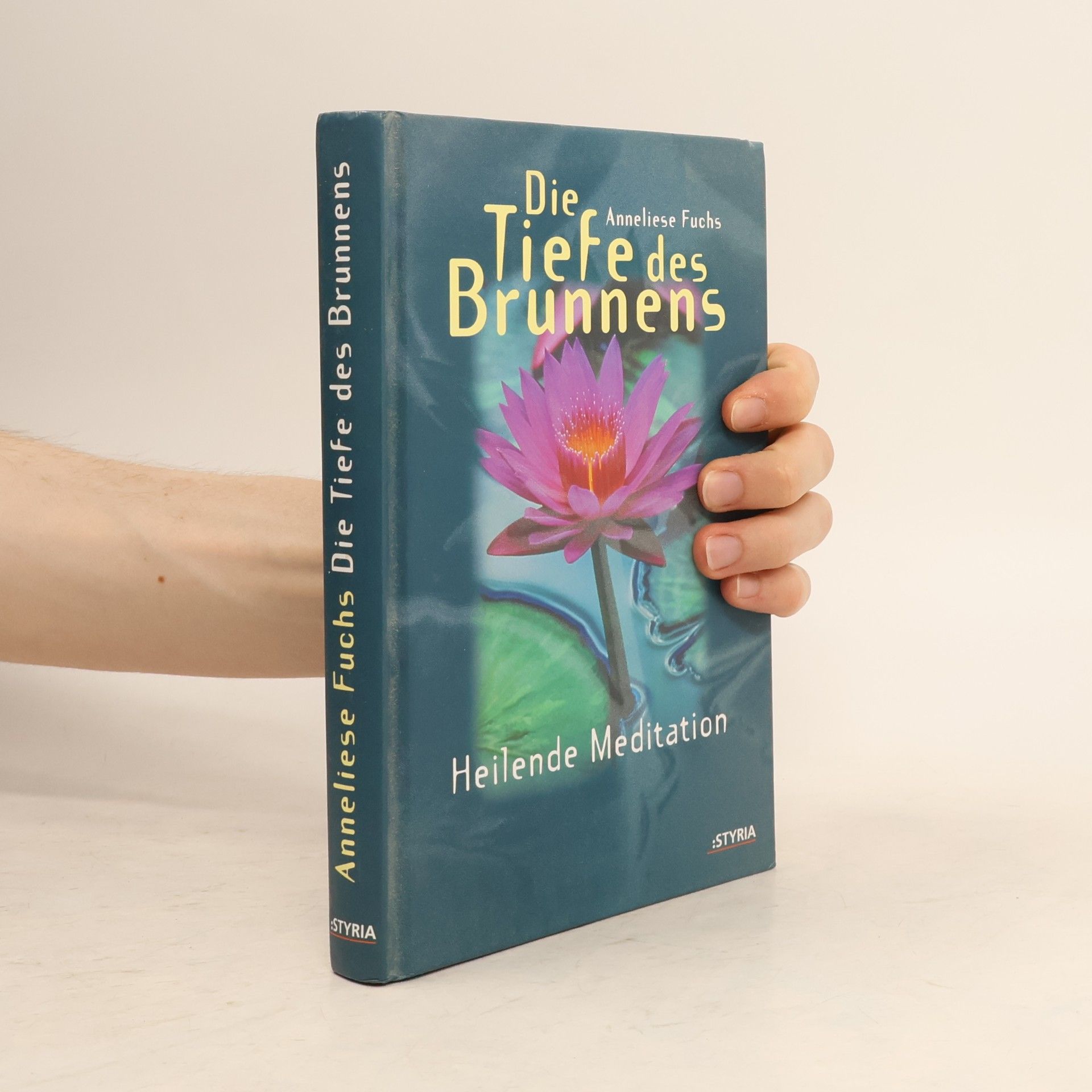 Anneliese Fuchs Die Tiefe des Brunnens