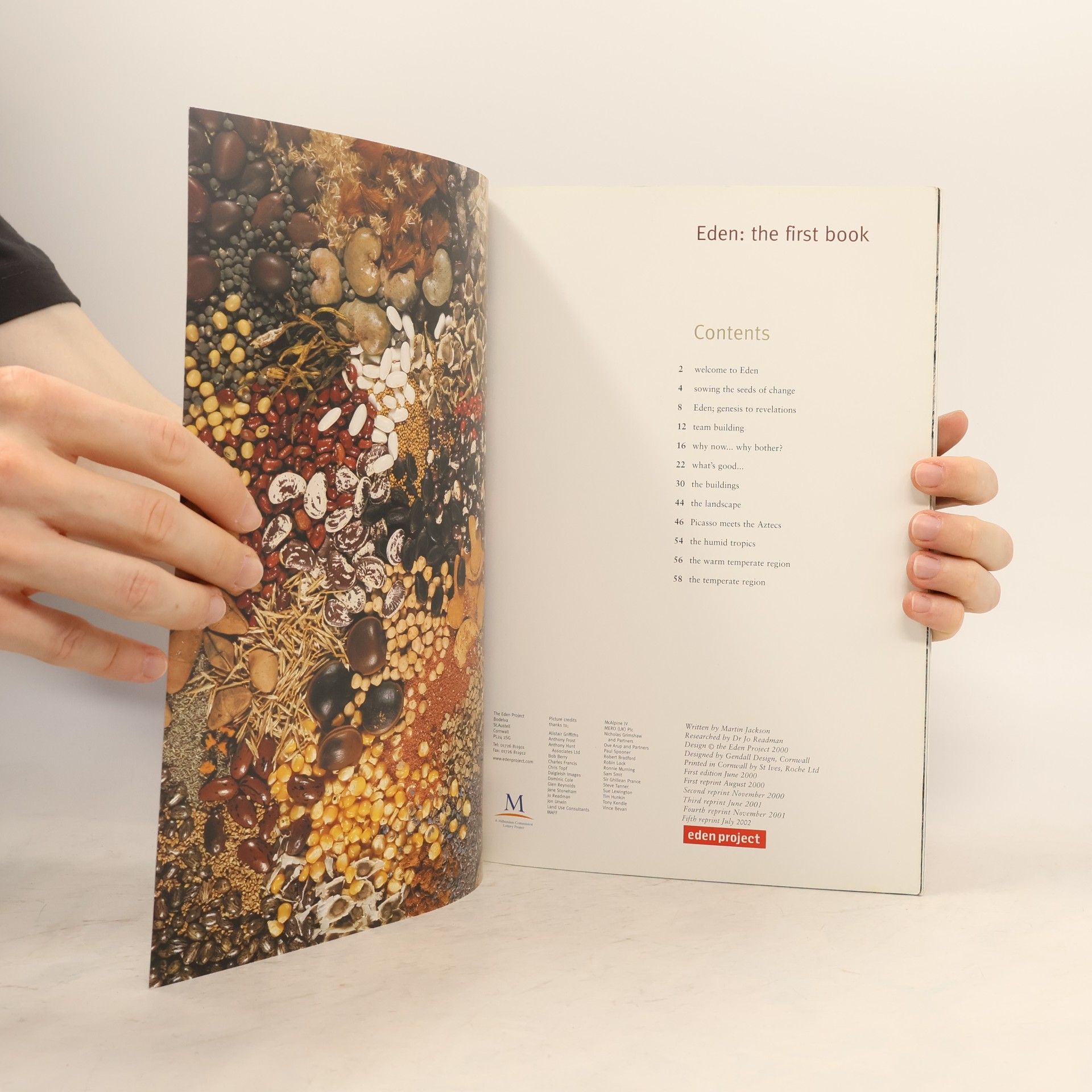 Autorenkollektiv Eden: the first book