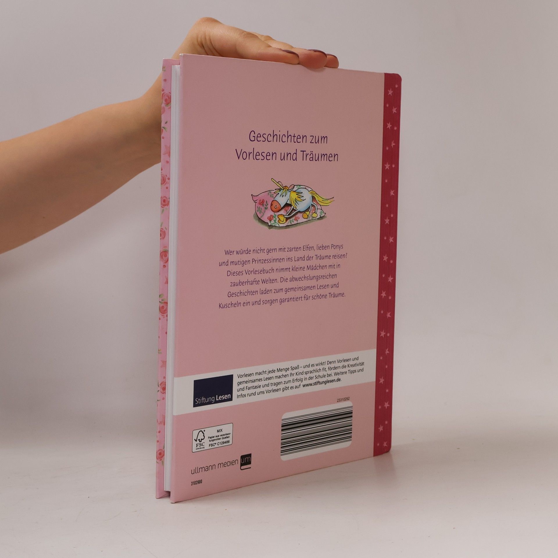 Autorenkollektiv Geschichtenzauber für Mädchen