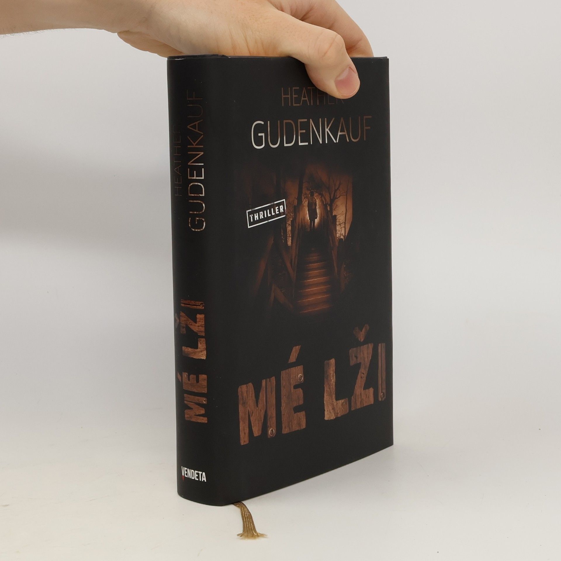 Heather Gudenkauf Mé lži
