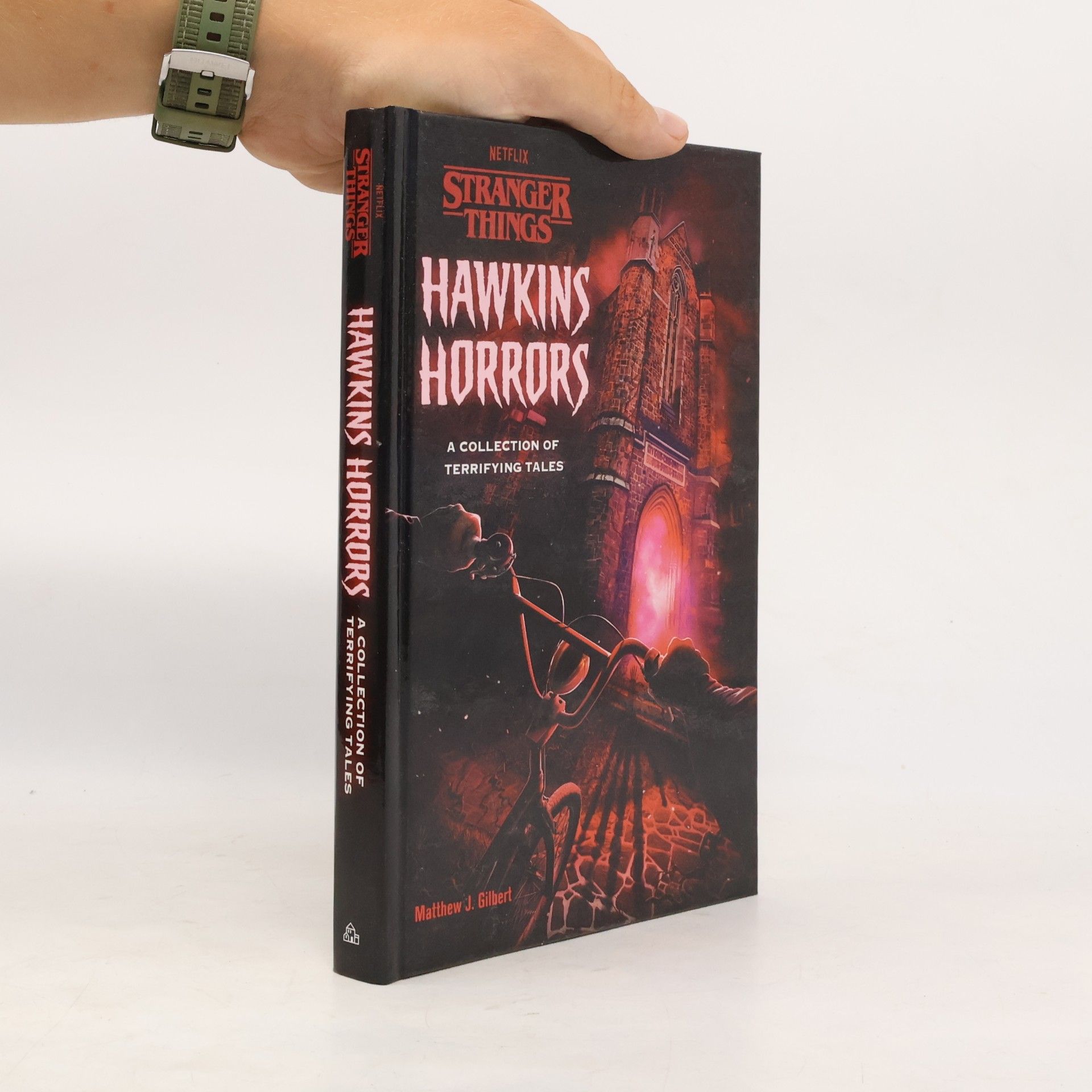 Matthew J. Gilbert Hawkins Horrors (Stranger Things)