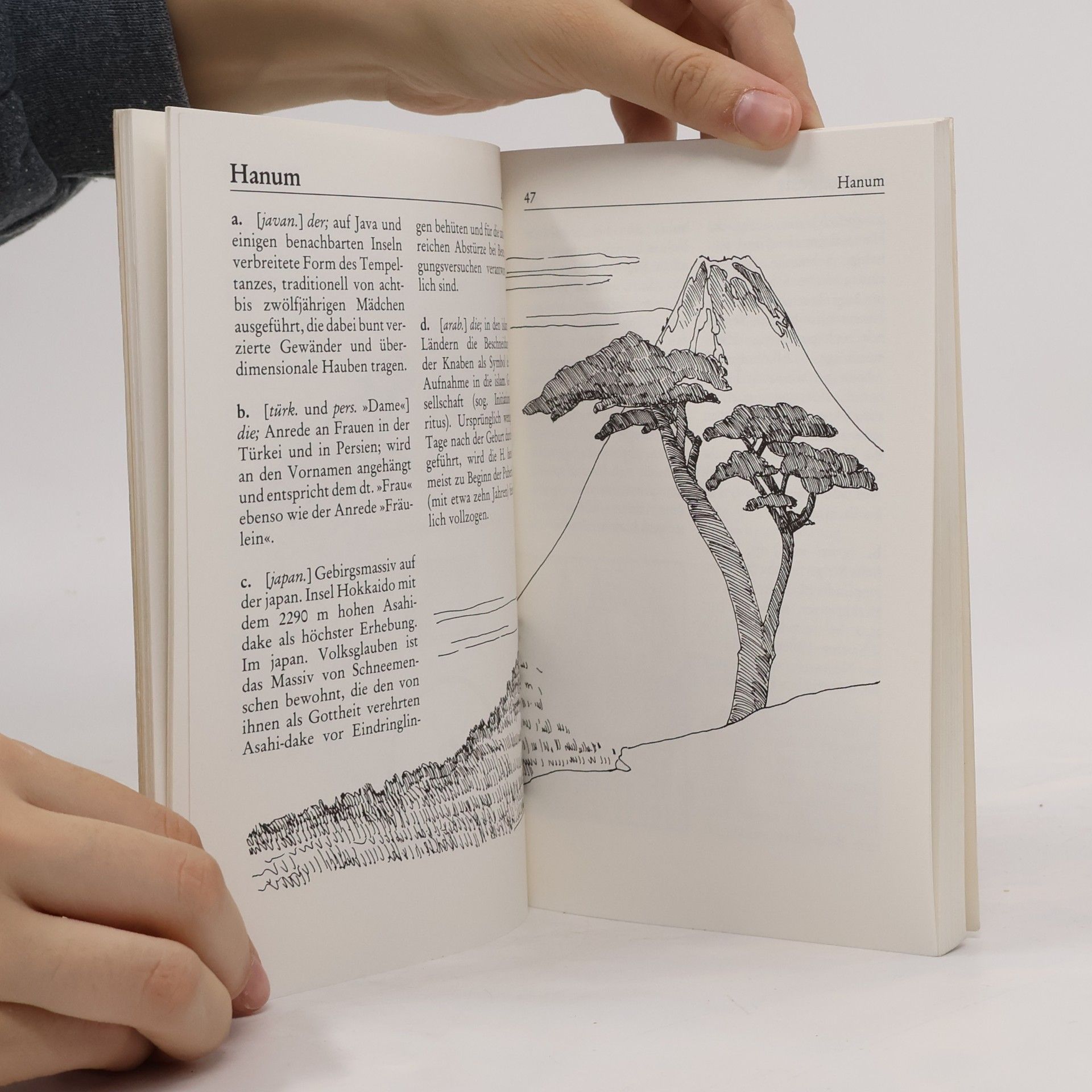 Gerhard Kebbel Dumont's verblüffendes Fremdwörterbuch