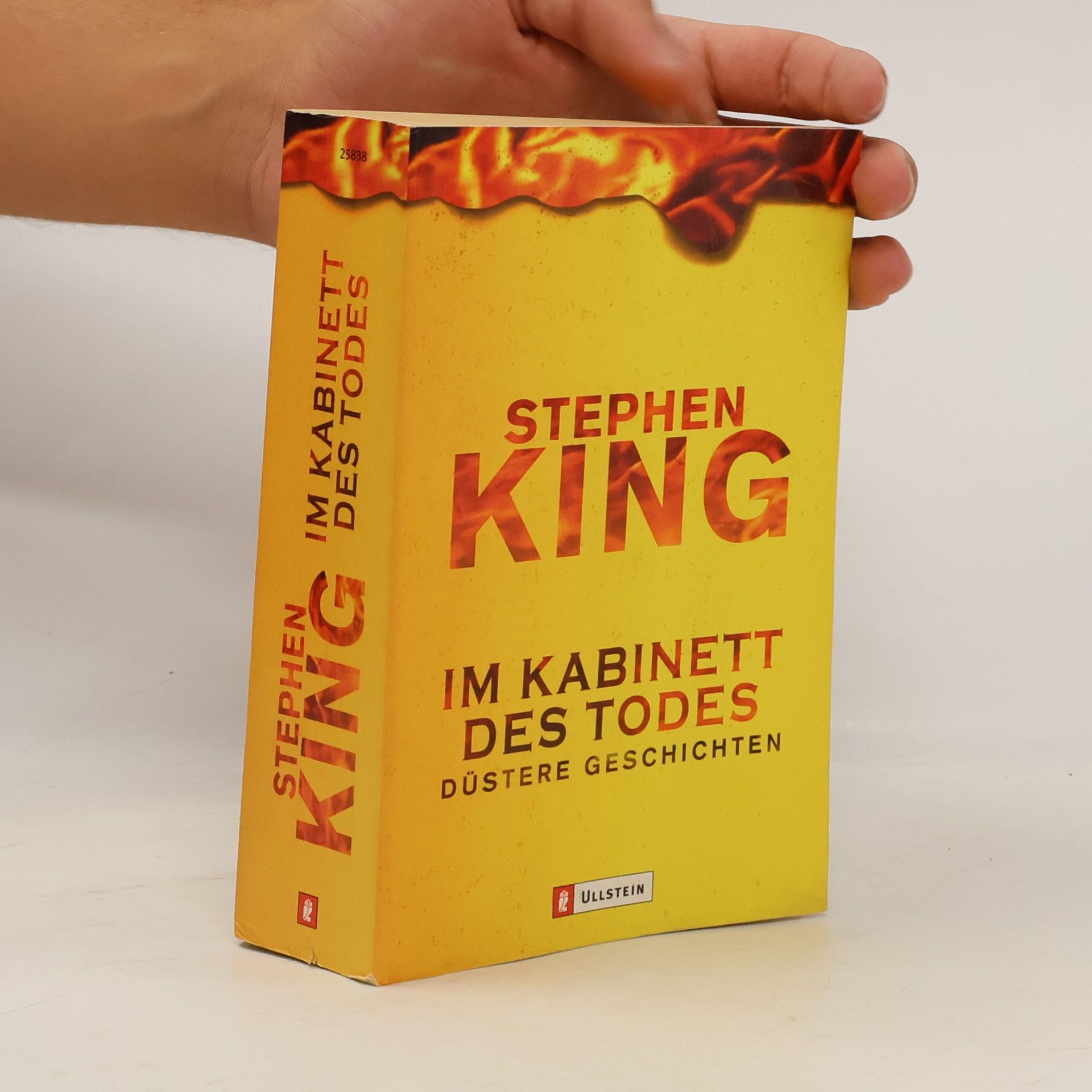 Stephen King Im Kabinett des Todes